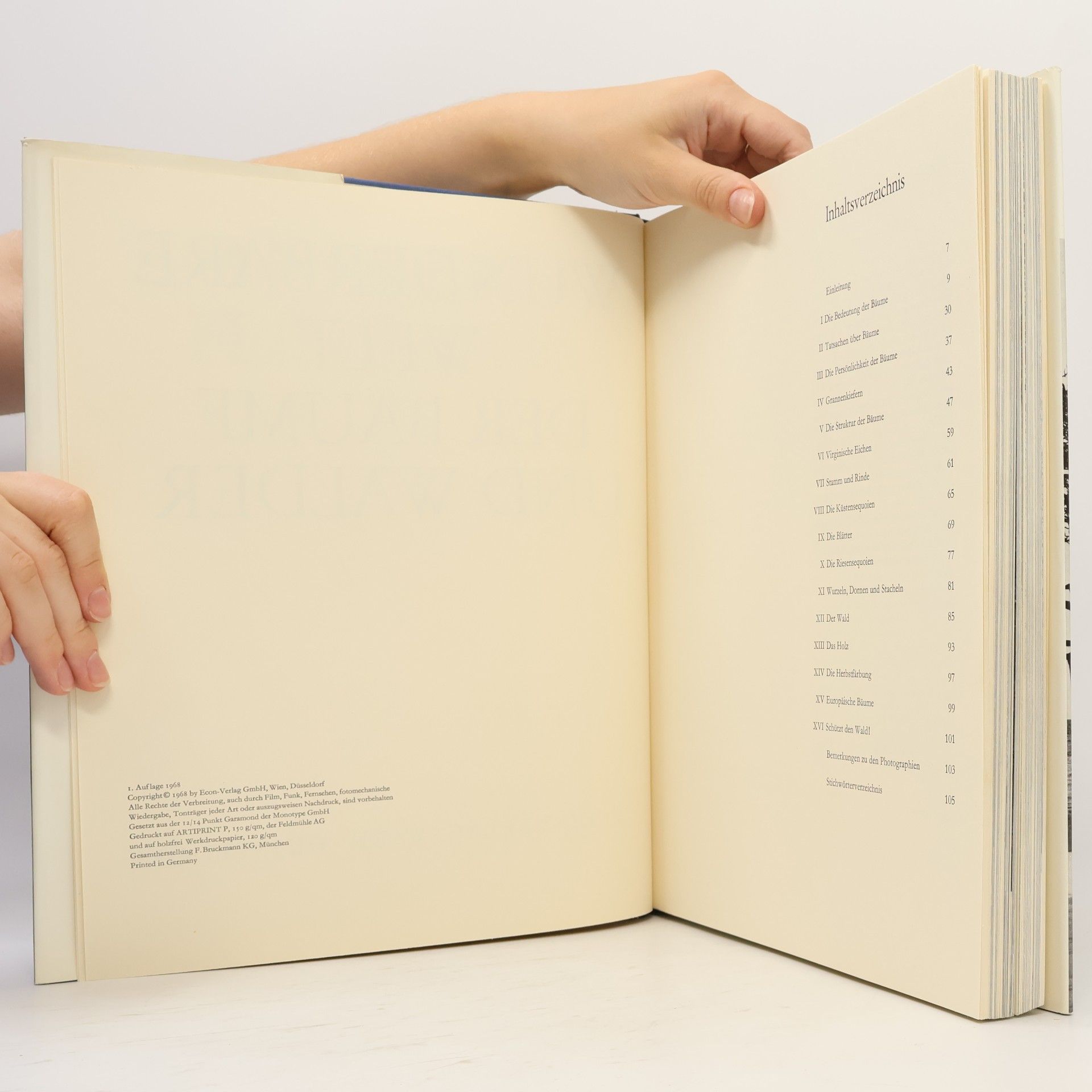 Andreas Feininger Wunderbare Welt der Bäume und Wälder