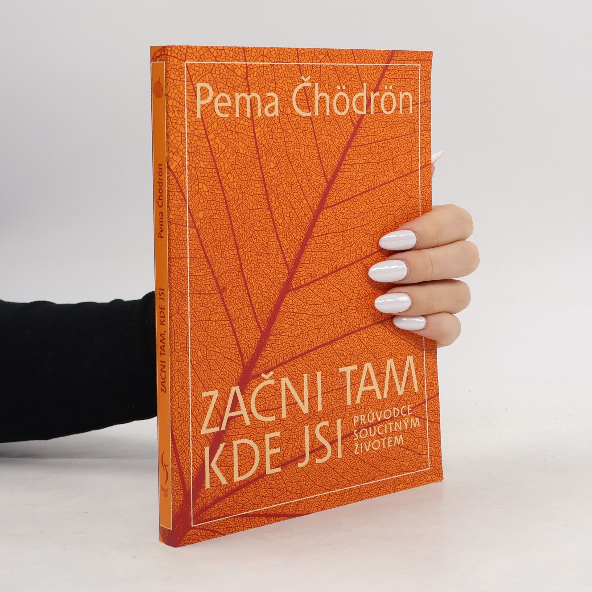Pema Chödrön Začni tam, kde jsi: Průvodce soucitným životem