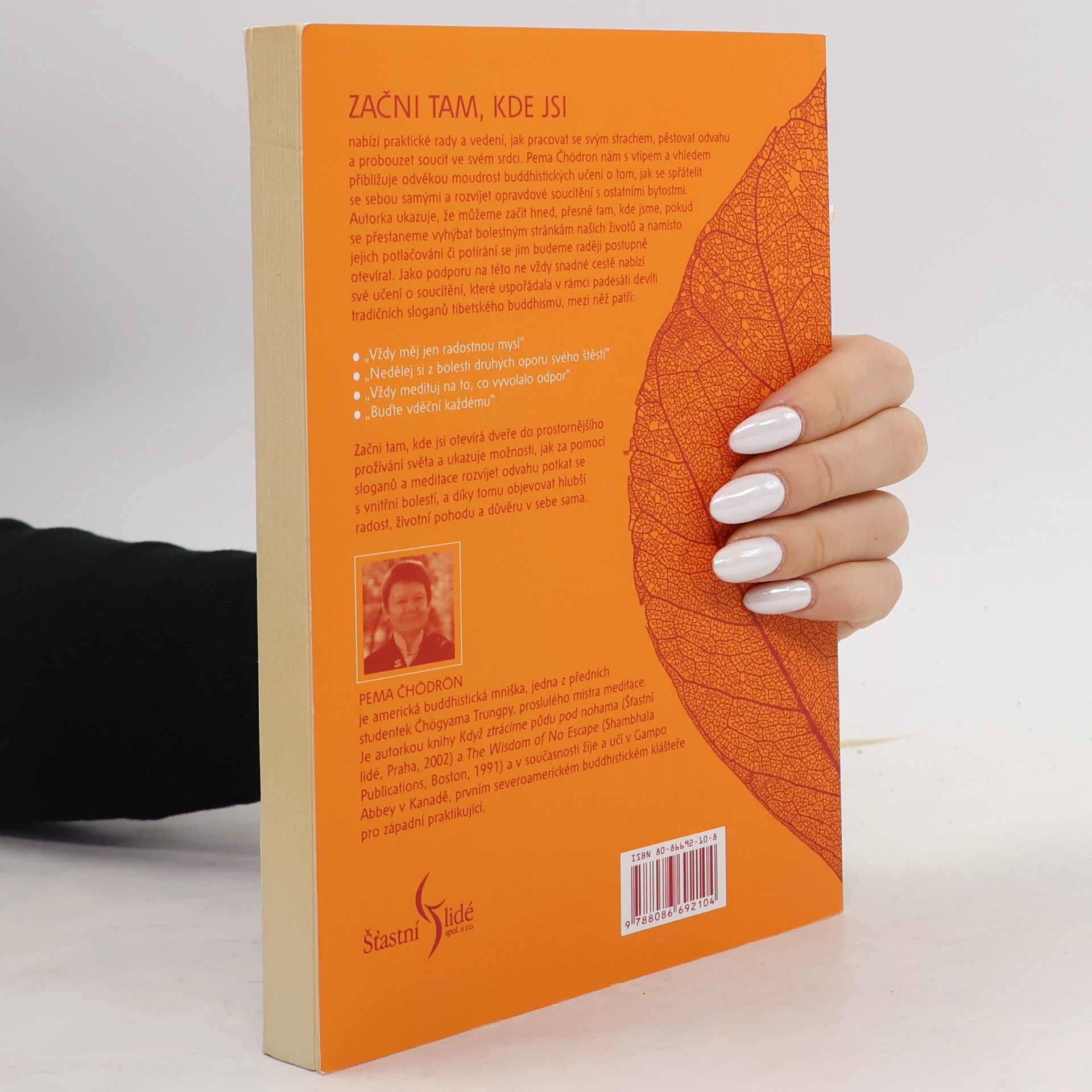 Pema Chödrön Začni tam, kde jsi: Průvodce soucitným životem