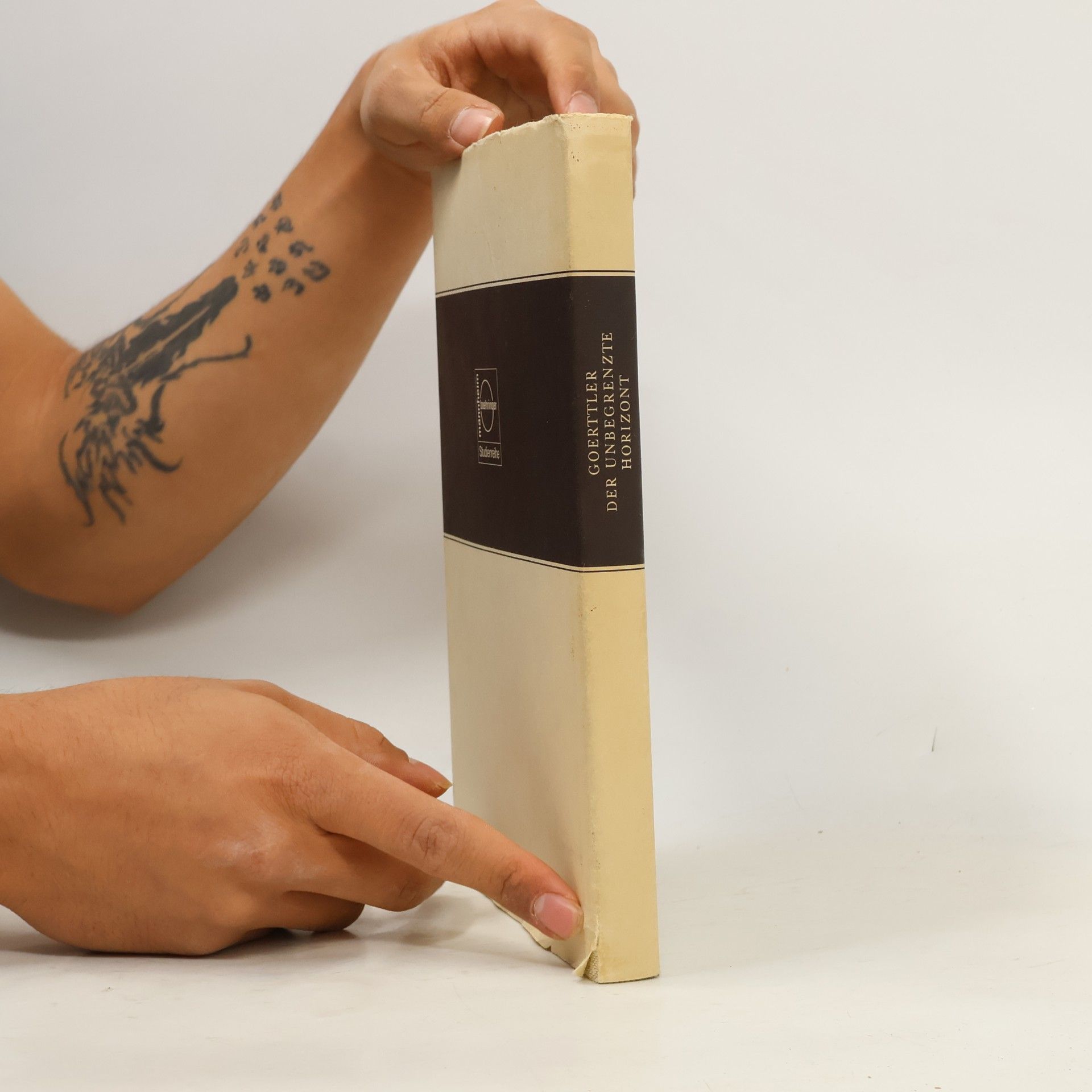 Kurt Goerttler Der unbegrenzte Horizont