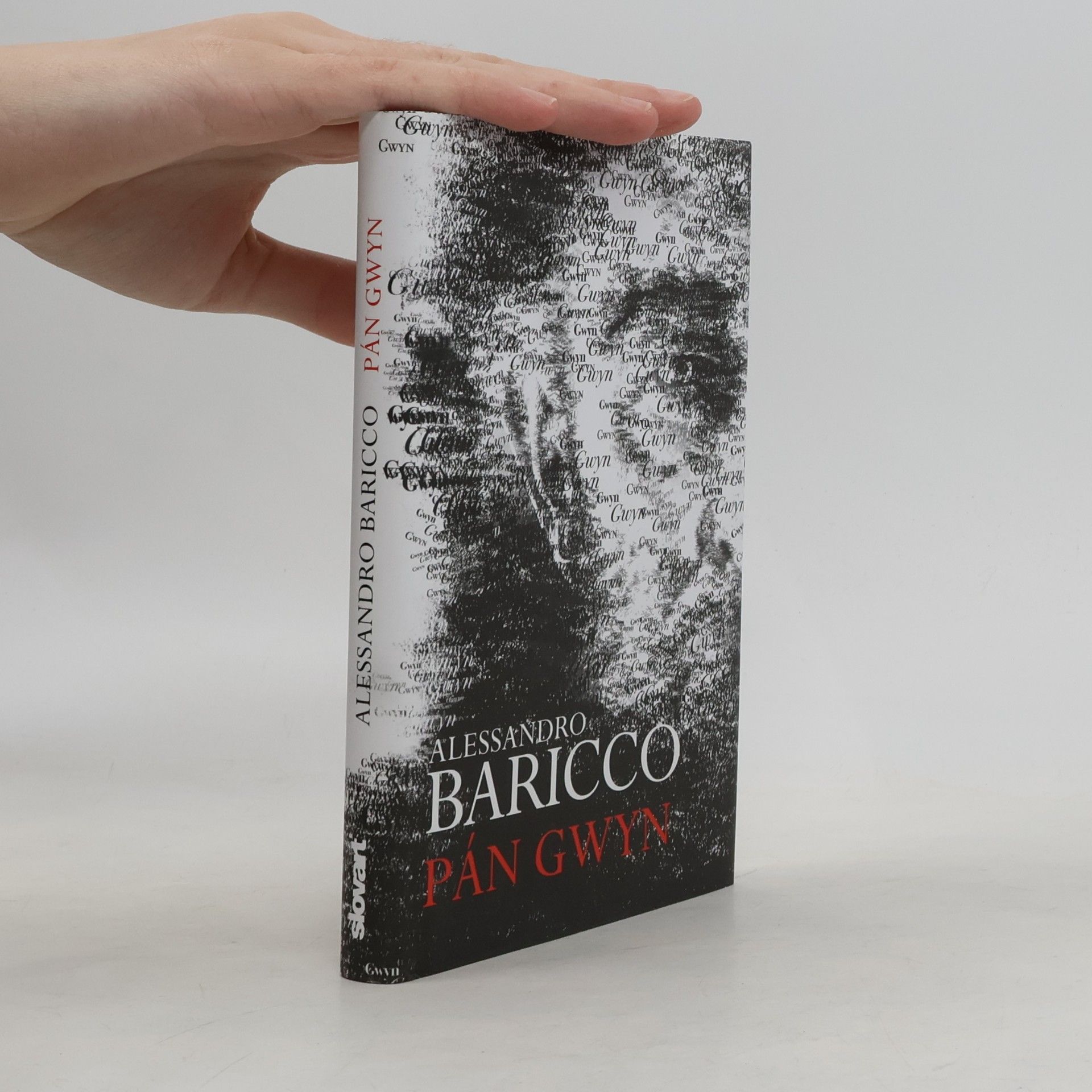 Alessandro Baricco Pán Gwyn