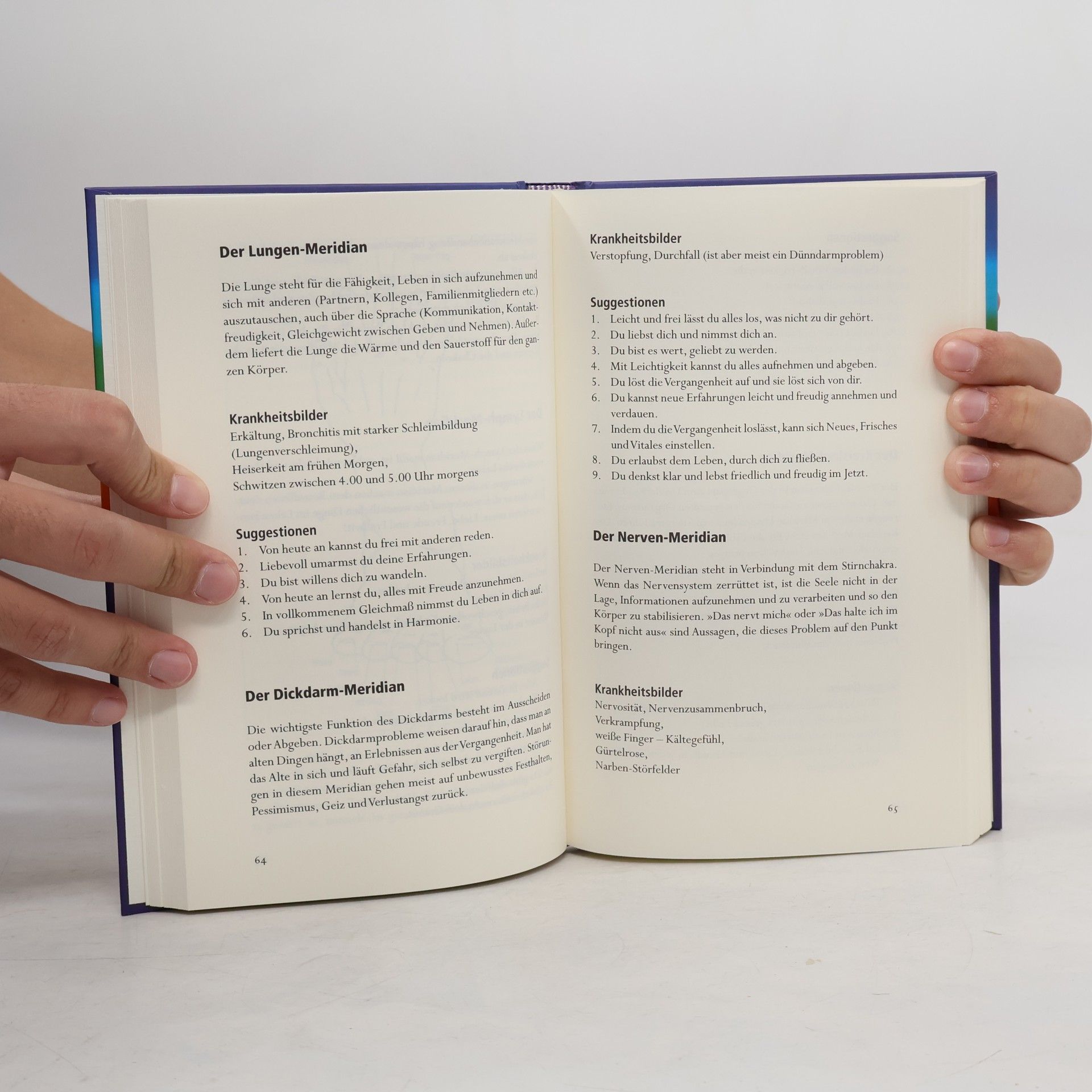 Horst Krohne Das Hausbuch der Geistheilung