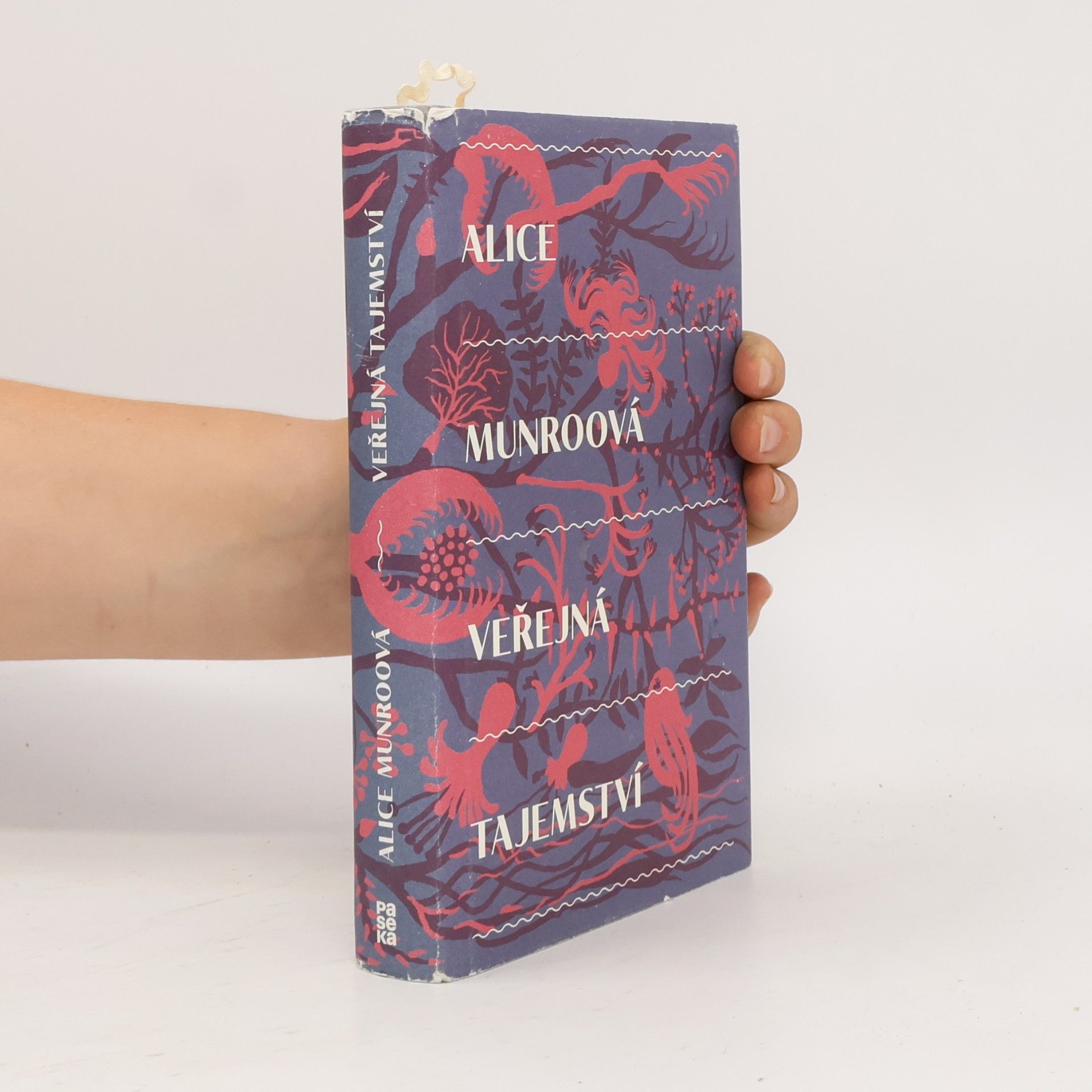 Alice Munroová Veřejná tajemství