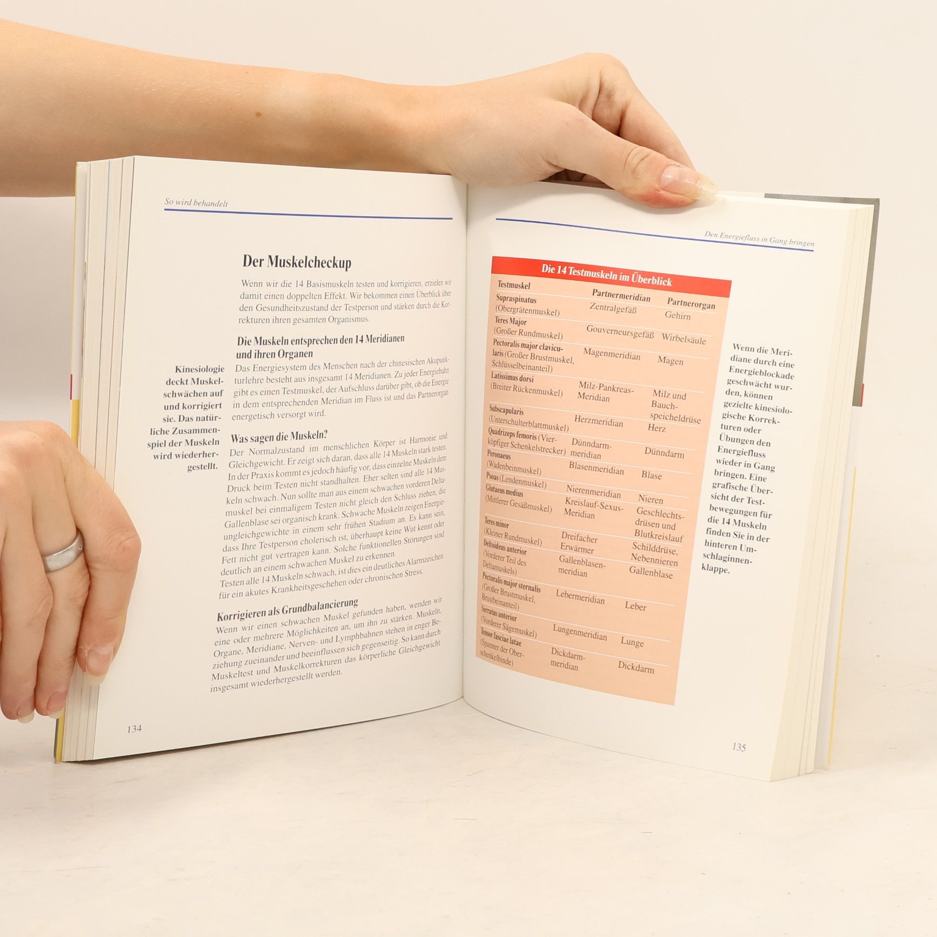 Isa Grüber Praxisbuch Kinesiologie