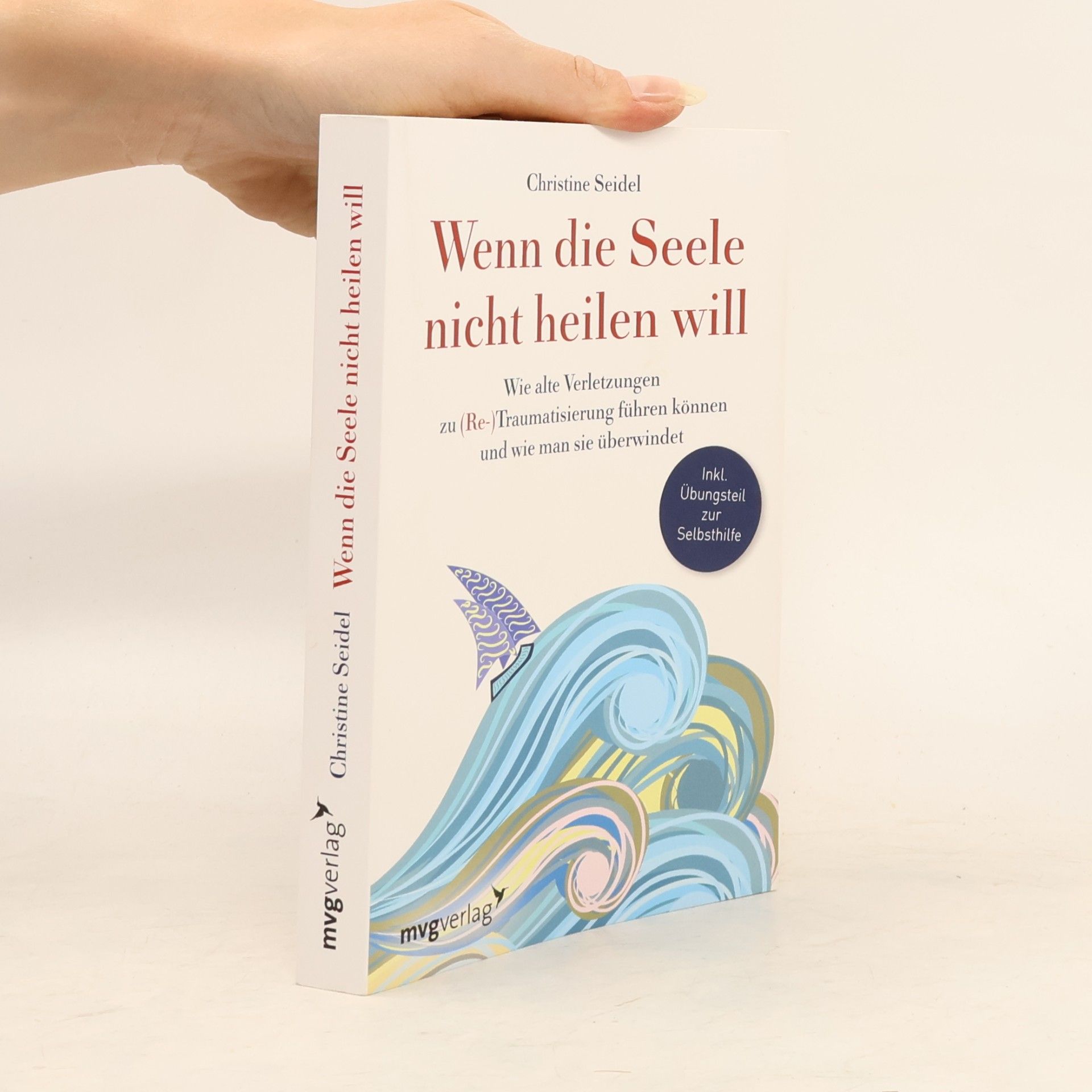 Christine Seidel Wenn die Seele nicht heilen will