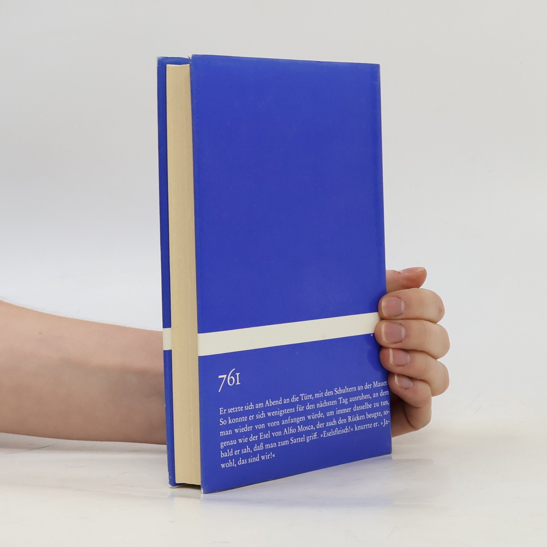 Giovanni Verga Bibliothek Suhrkamp: Die Malavoglia