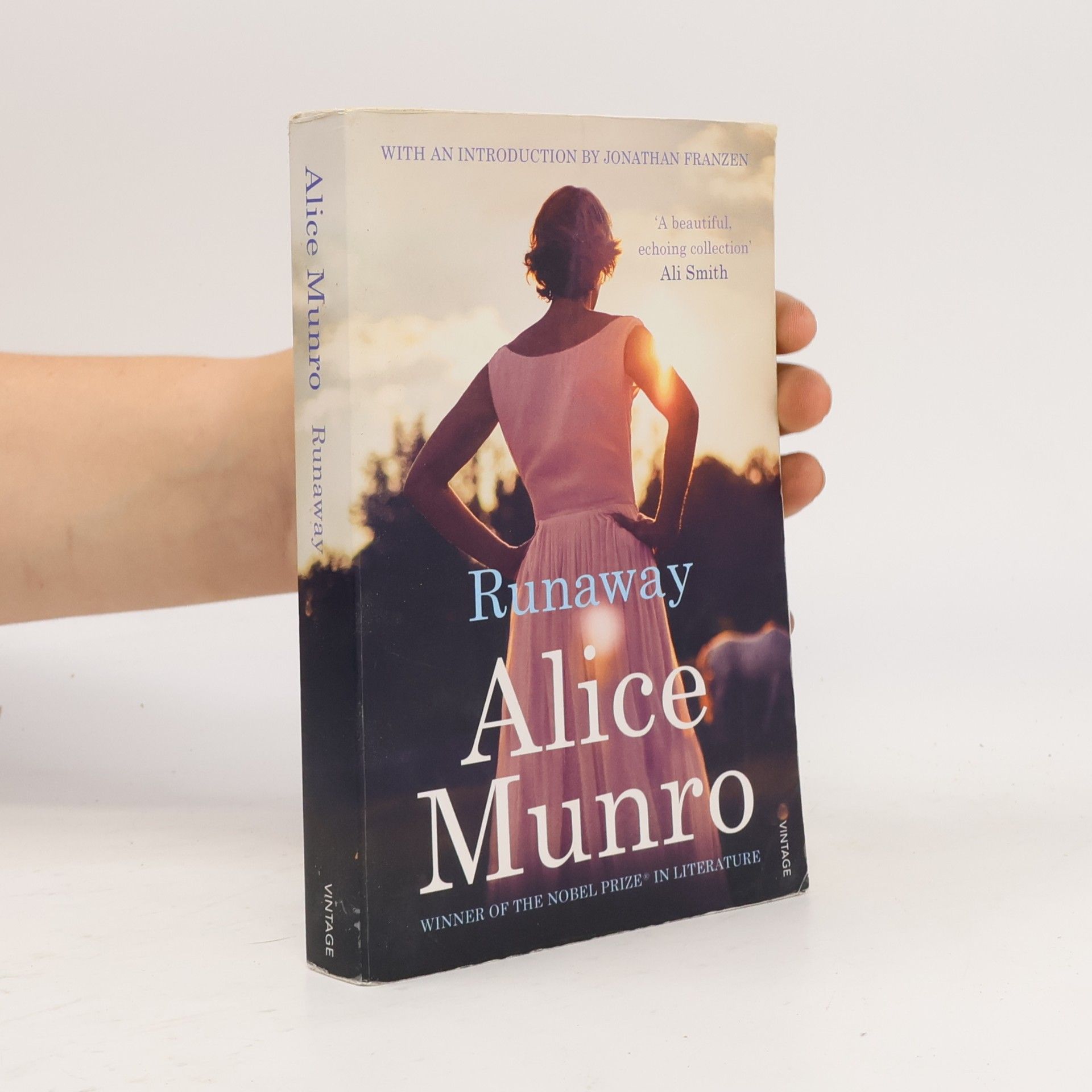 Alice Munro Runaway