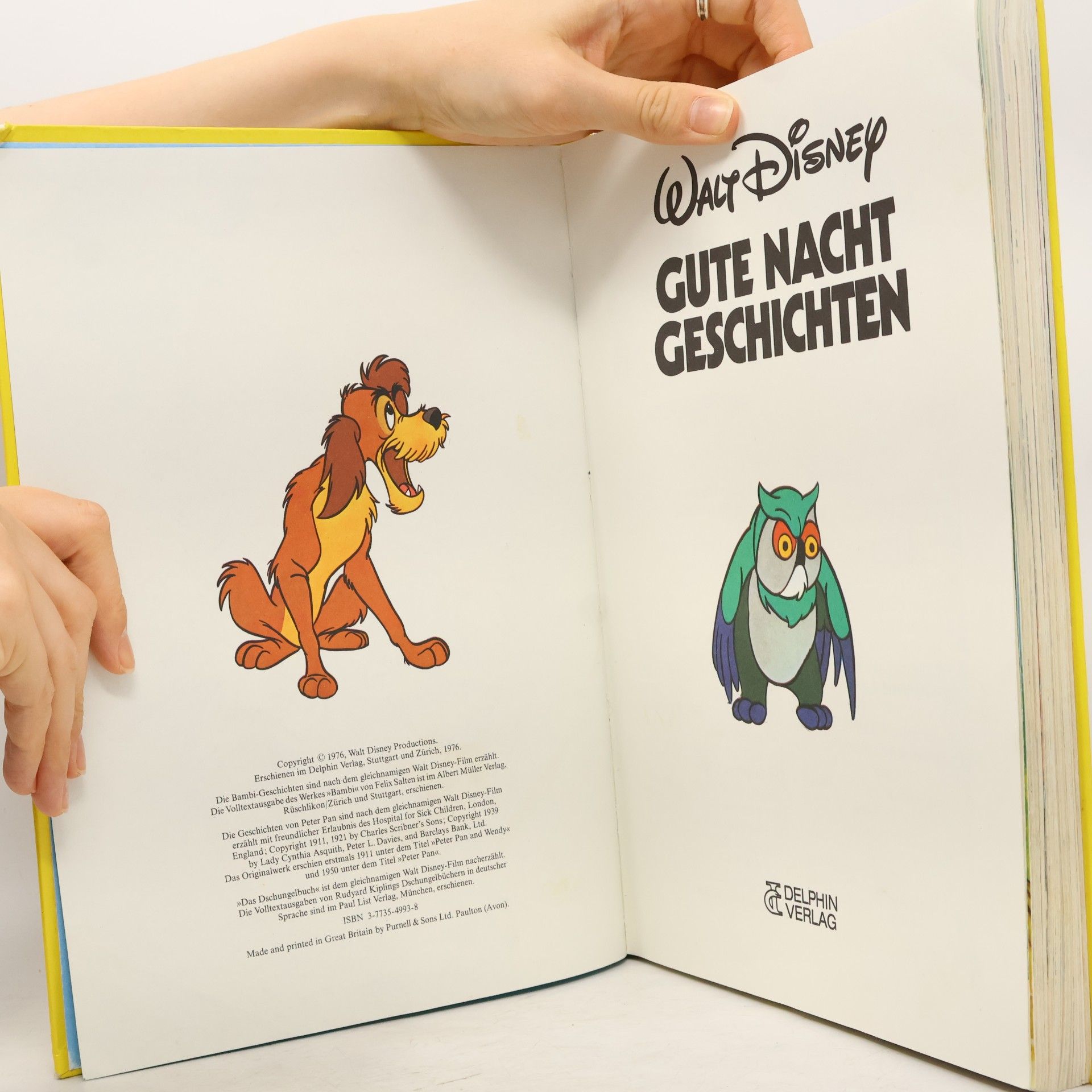 Gute-Nacht-Geschichten, gebundene Ausgabe