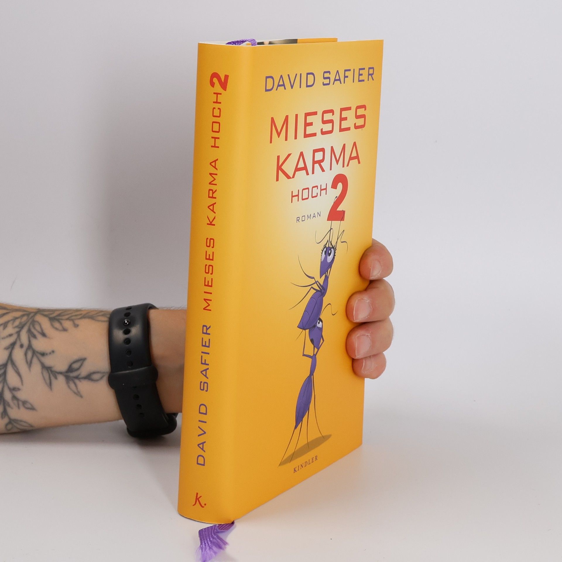 David Safier Mieses Karma hoch 2