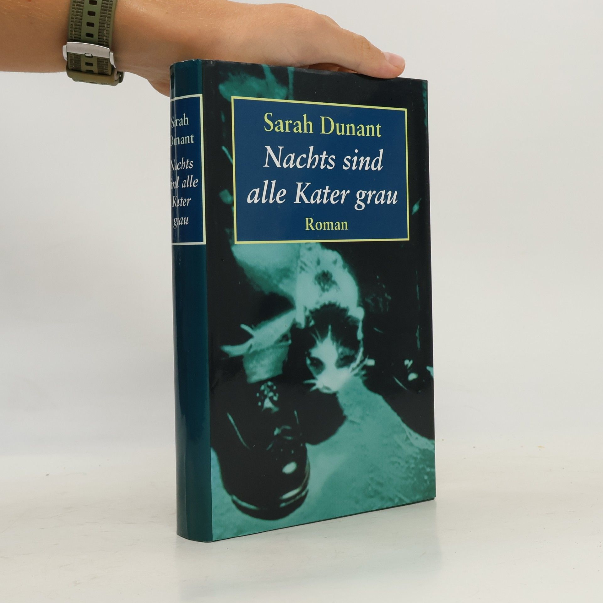 Sarah Dunant Nachts sind alle Kater grau