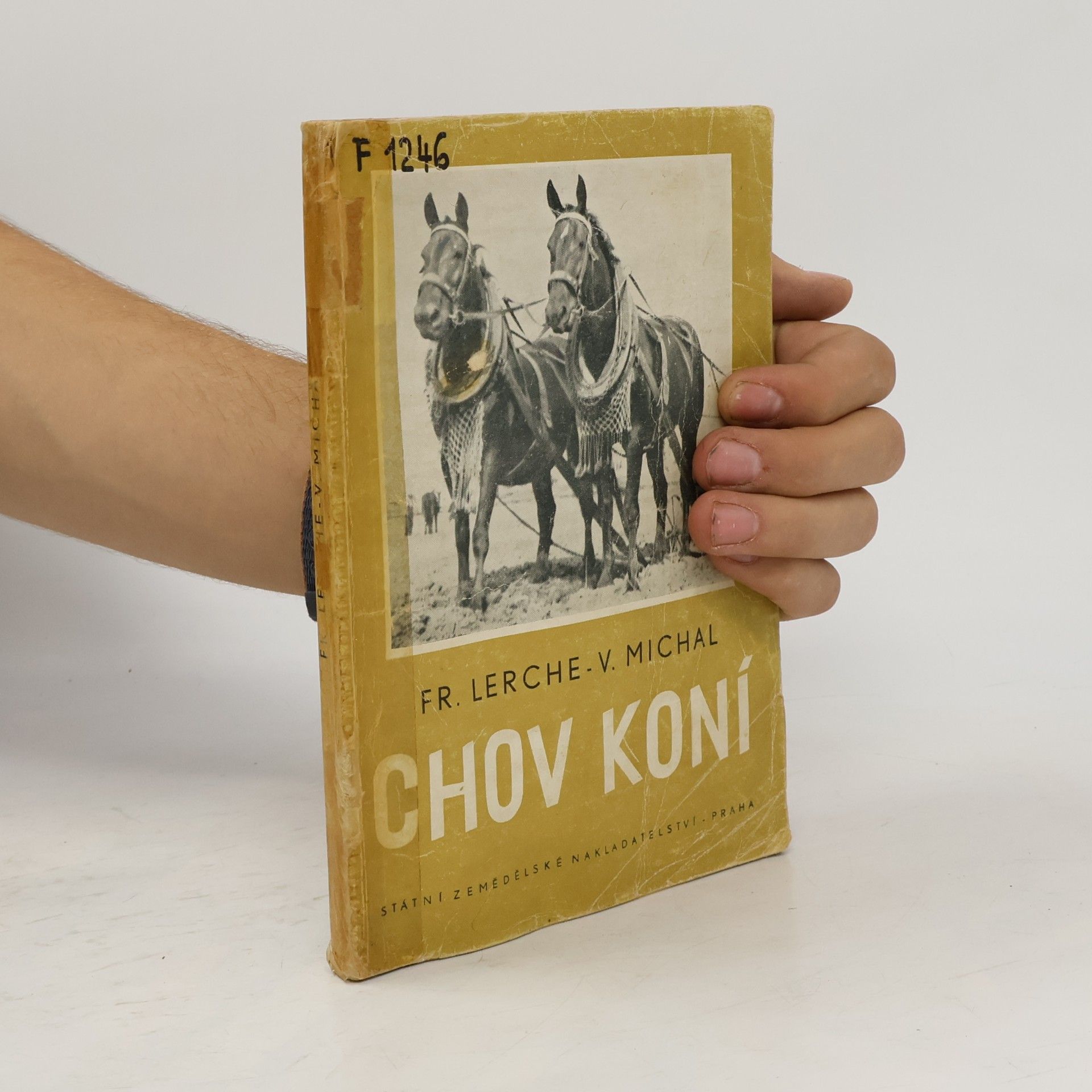 Václav Michal Chov koní