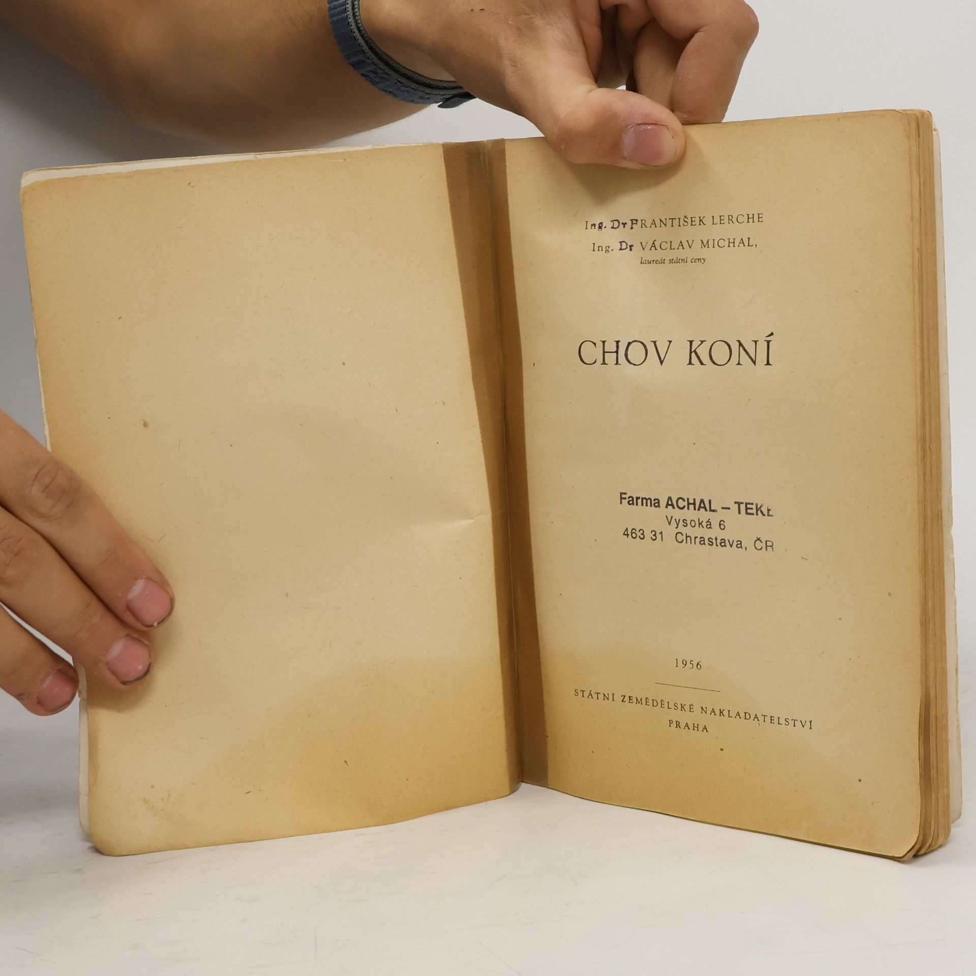 František Lerche Chov koní