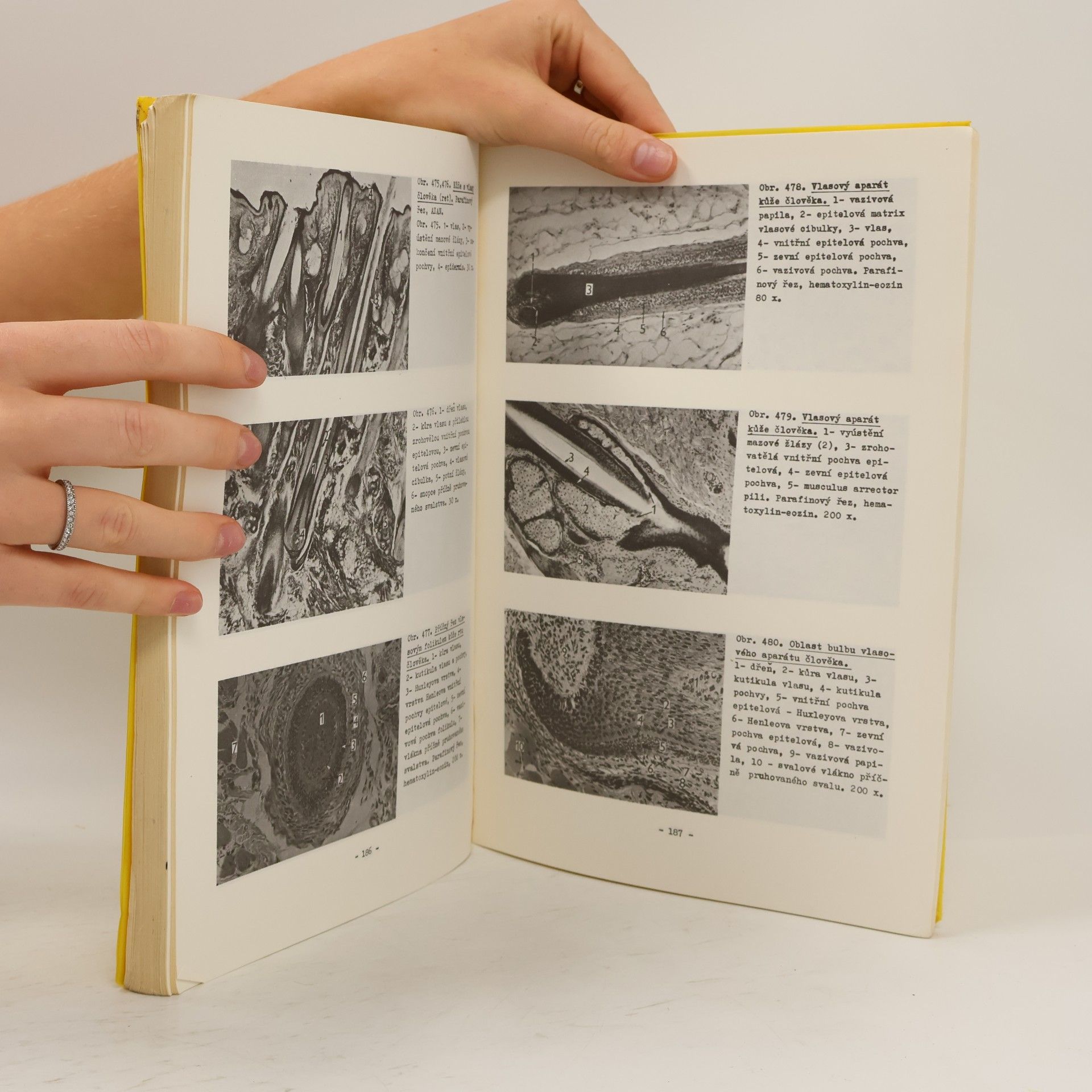 Eduard Klika Atlas cytologie, histologie a mikroskopické anatomie