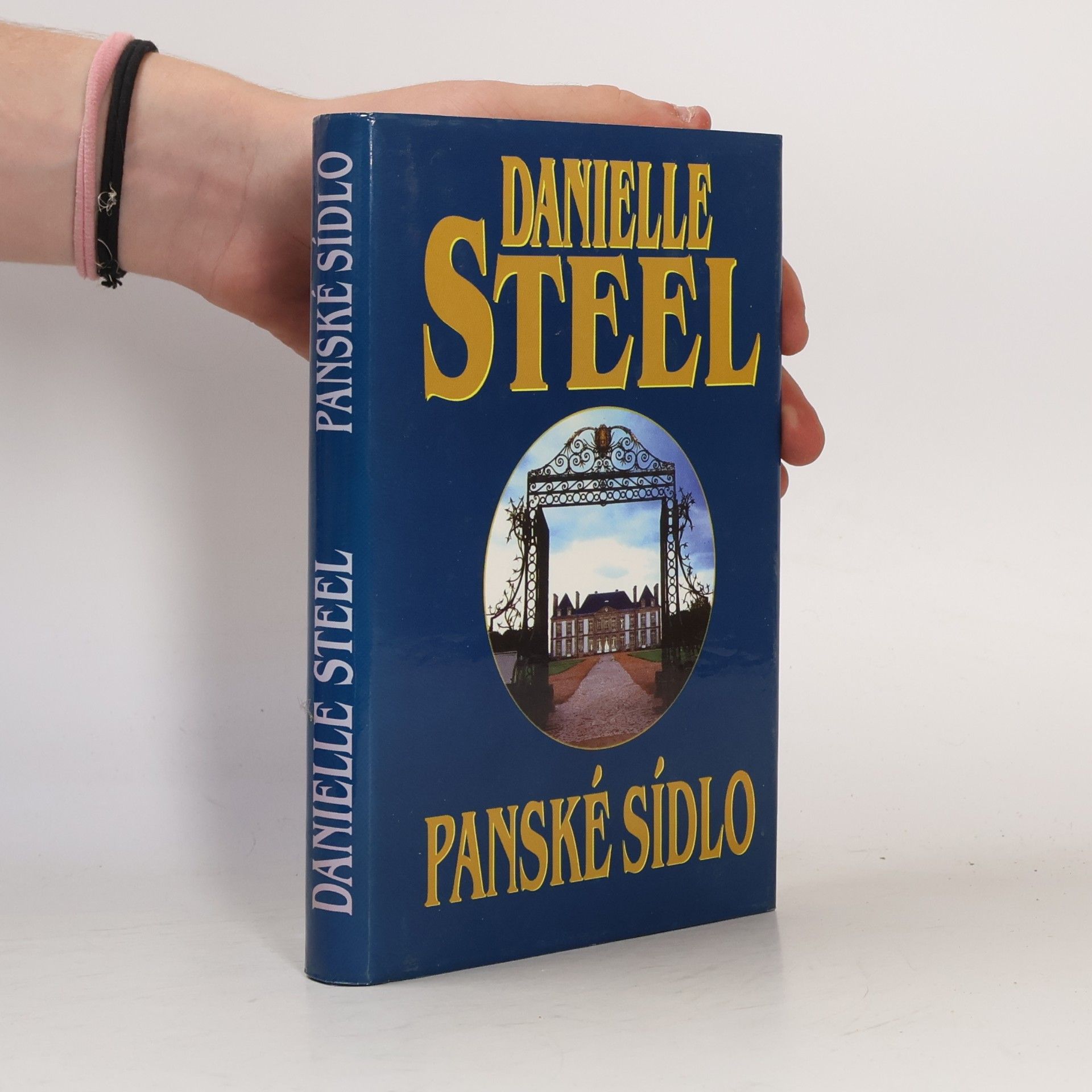 Danielle Steel Panské sídlo