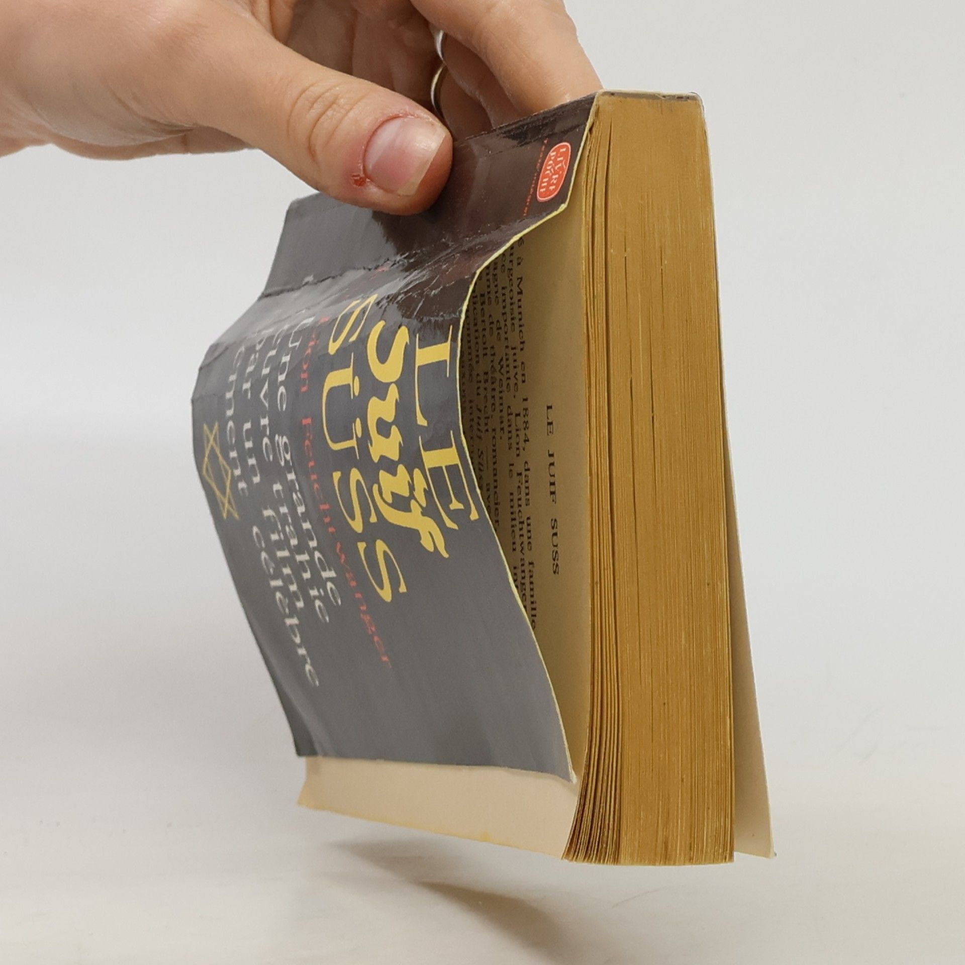 Lion Feuchtwanger Livre de Poche: Le Juif Süss