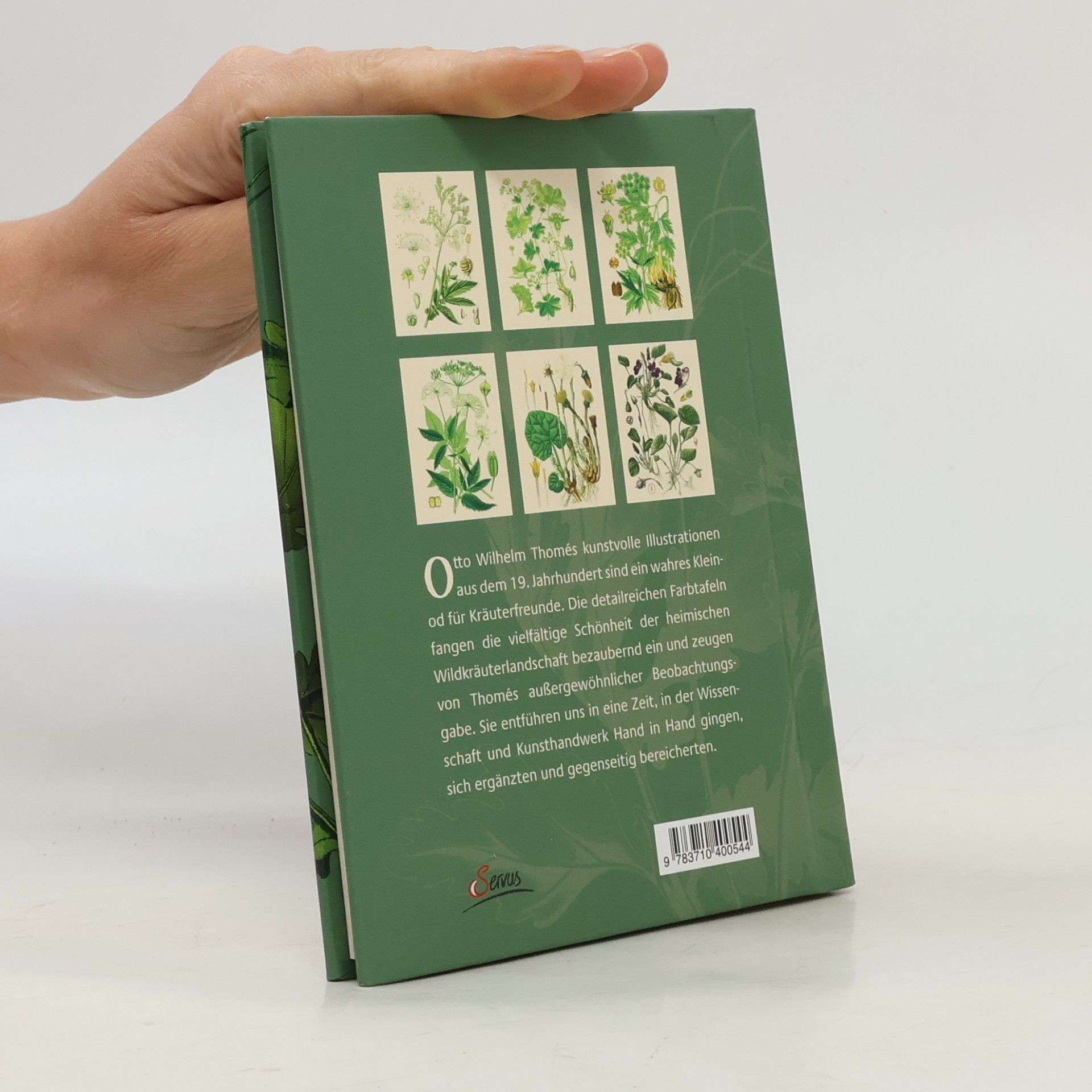 Otto W. Thomé Das kleine Wildkräuteralbum