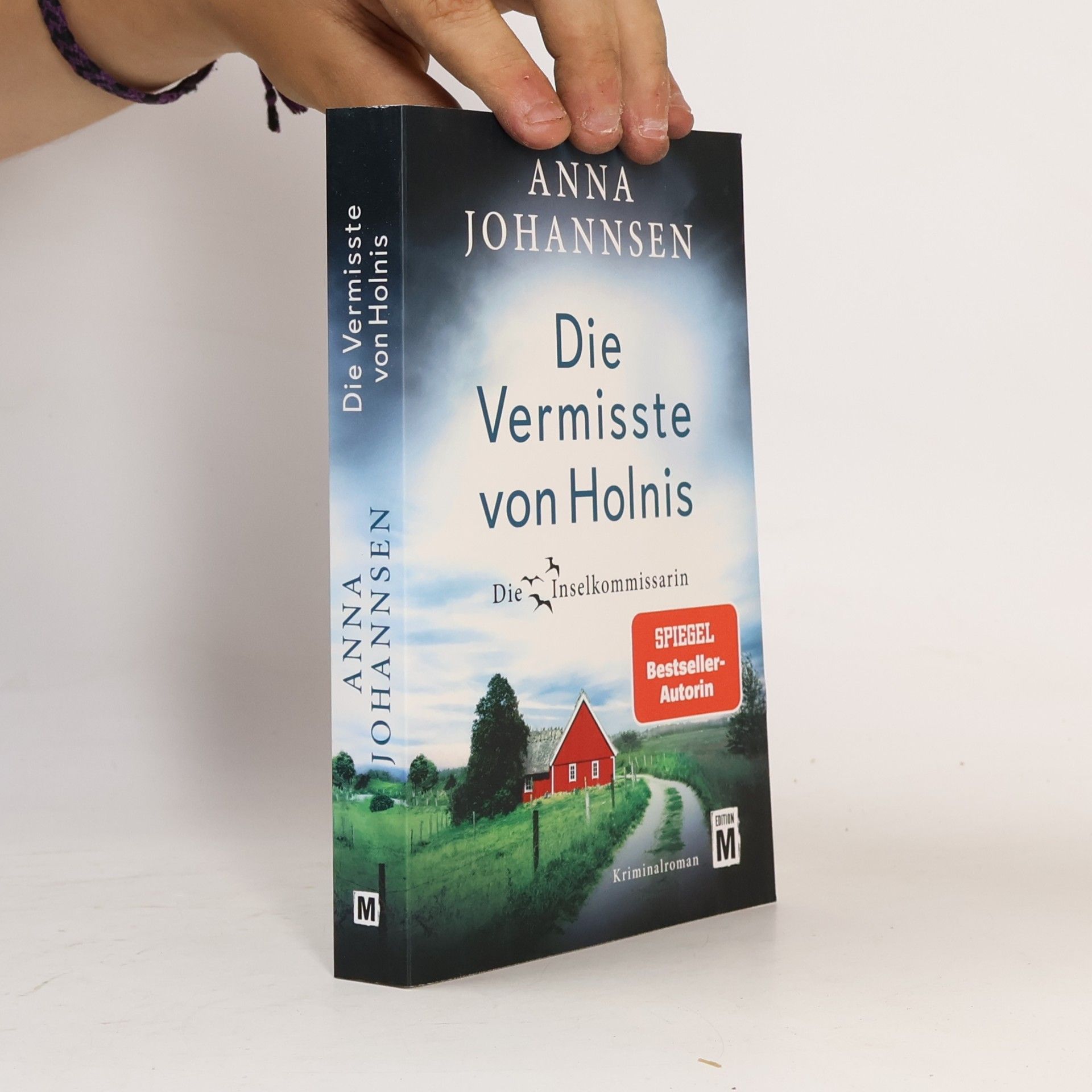Anna Johannsen Die Vermisste von Holnis