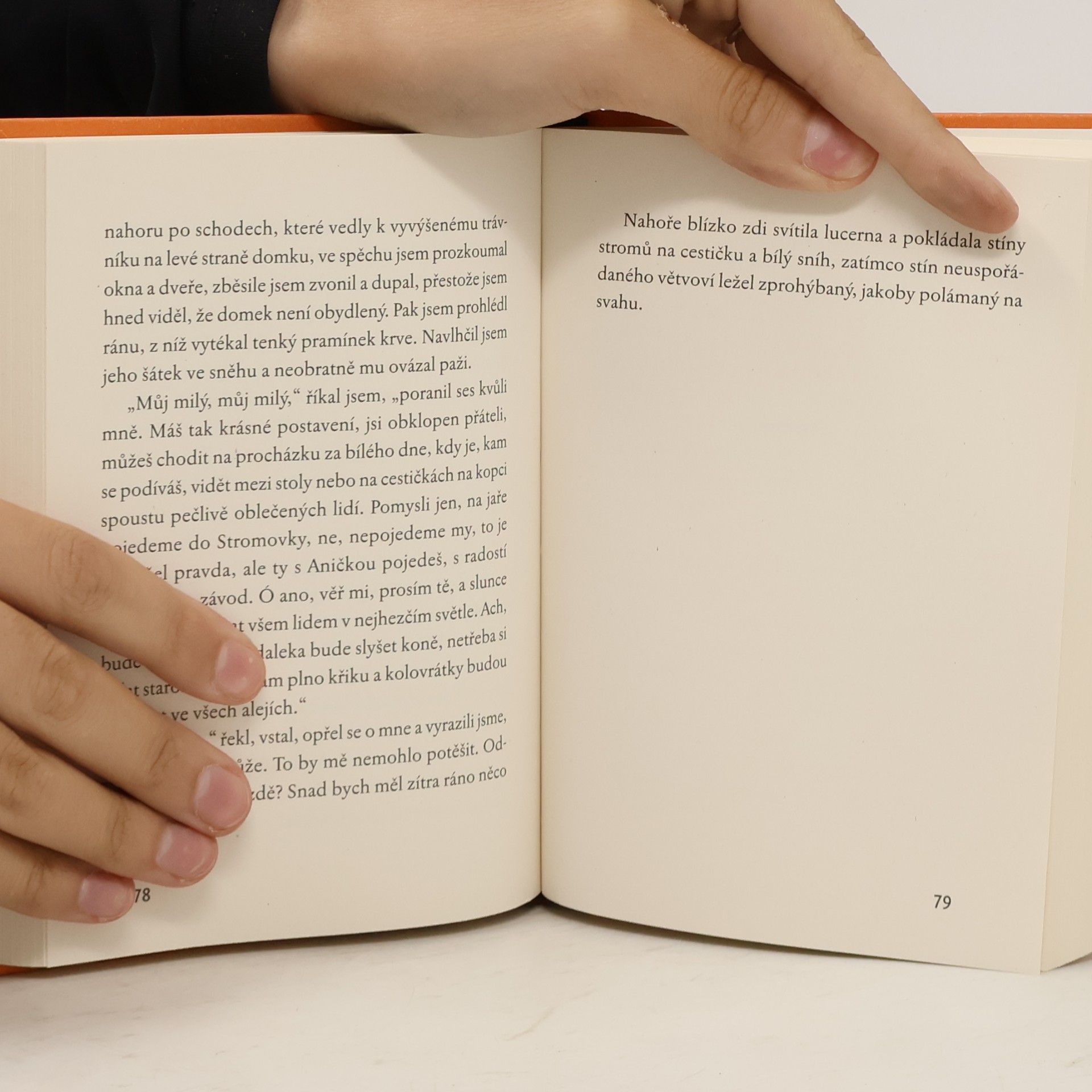 Franz Kafka Popis jednoho zápasu