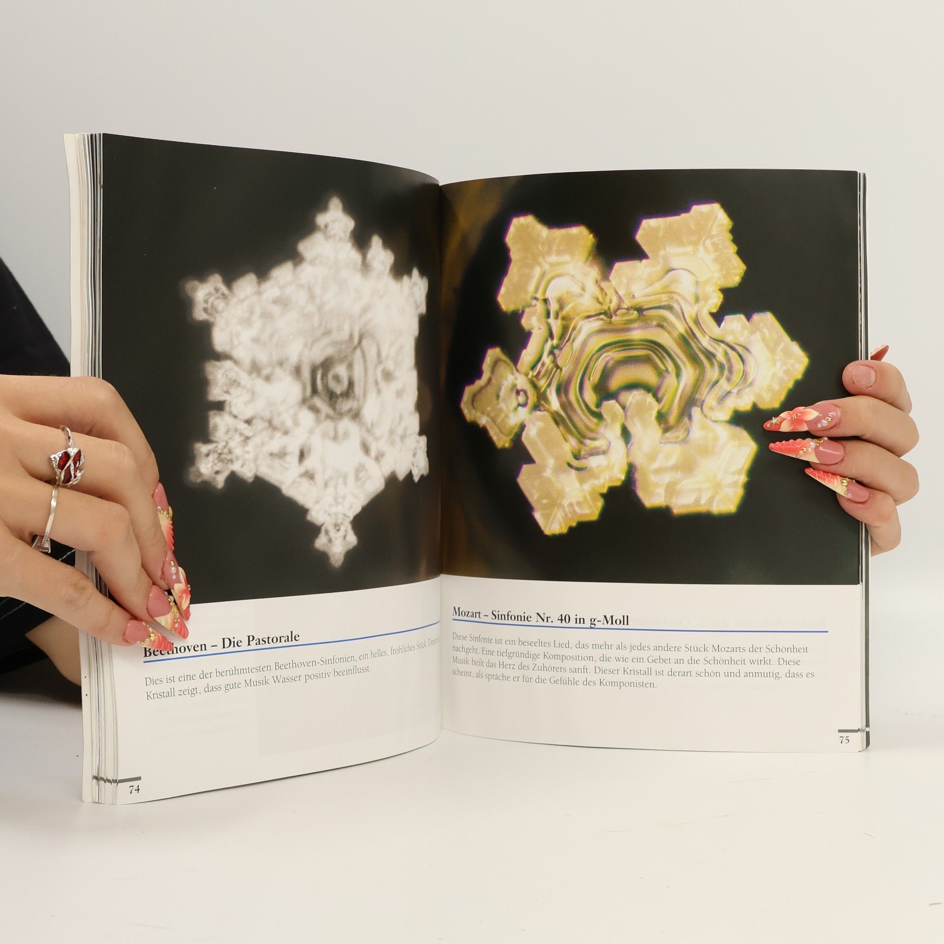 Masaru Emoto Die Botschaft des Wassers