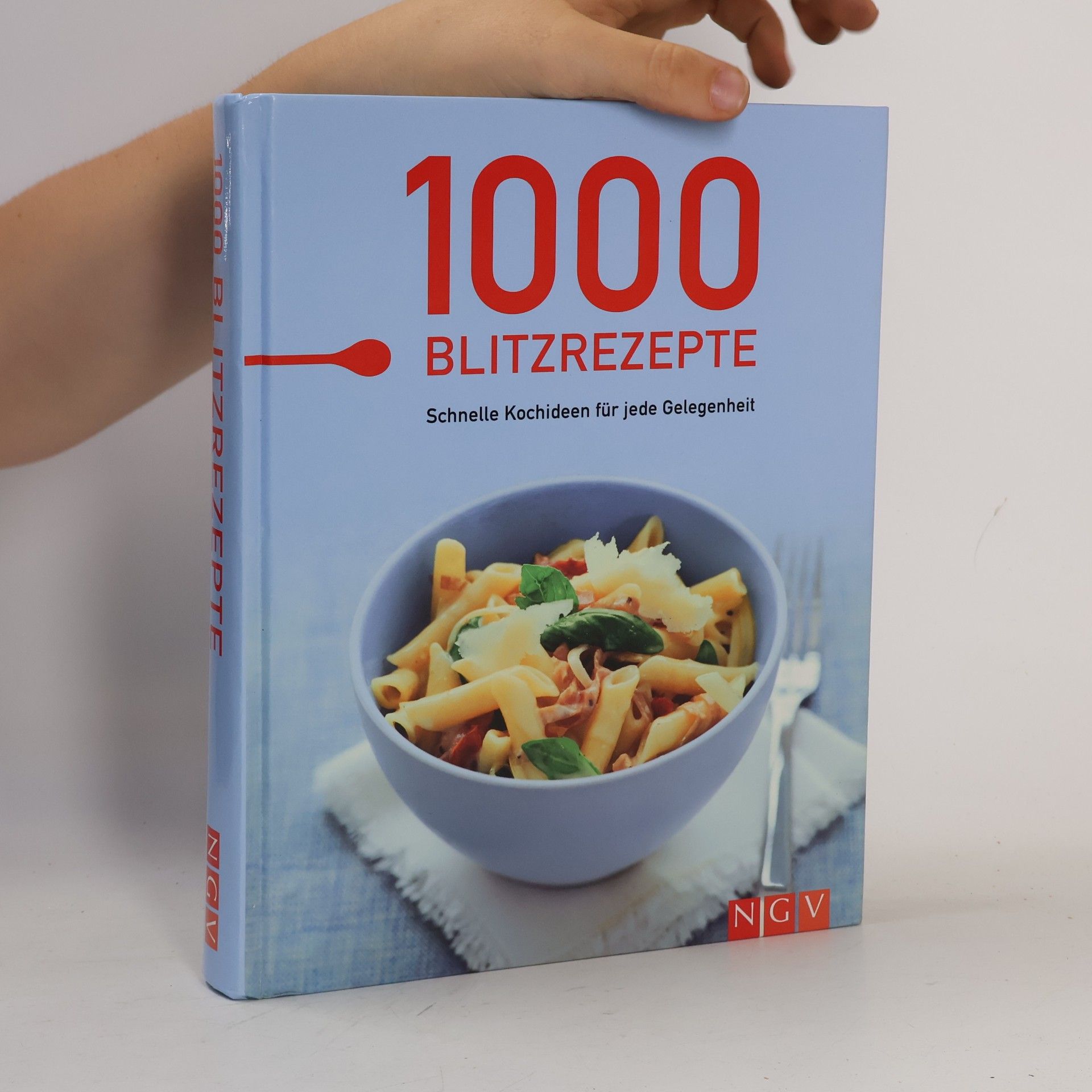 Autores varios 1000 Blitzrezepte