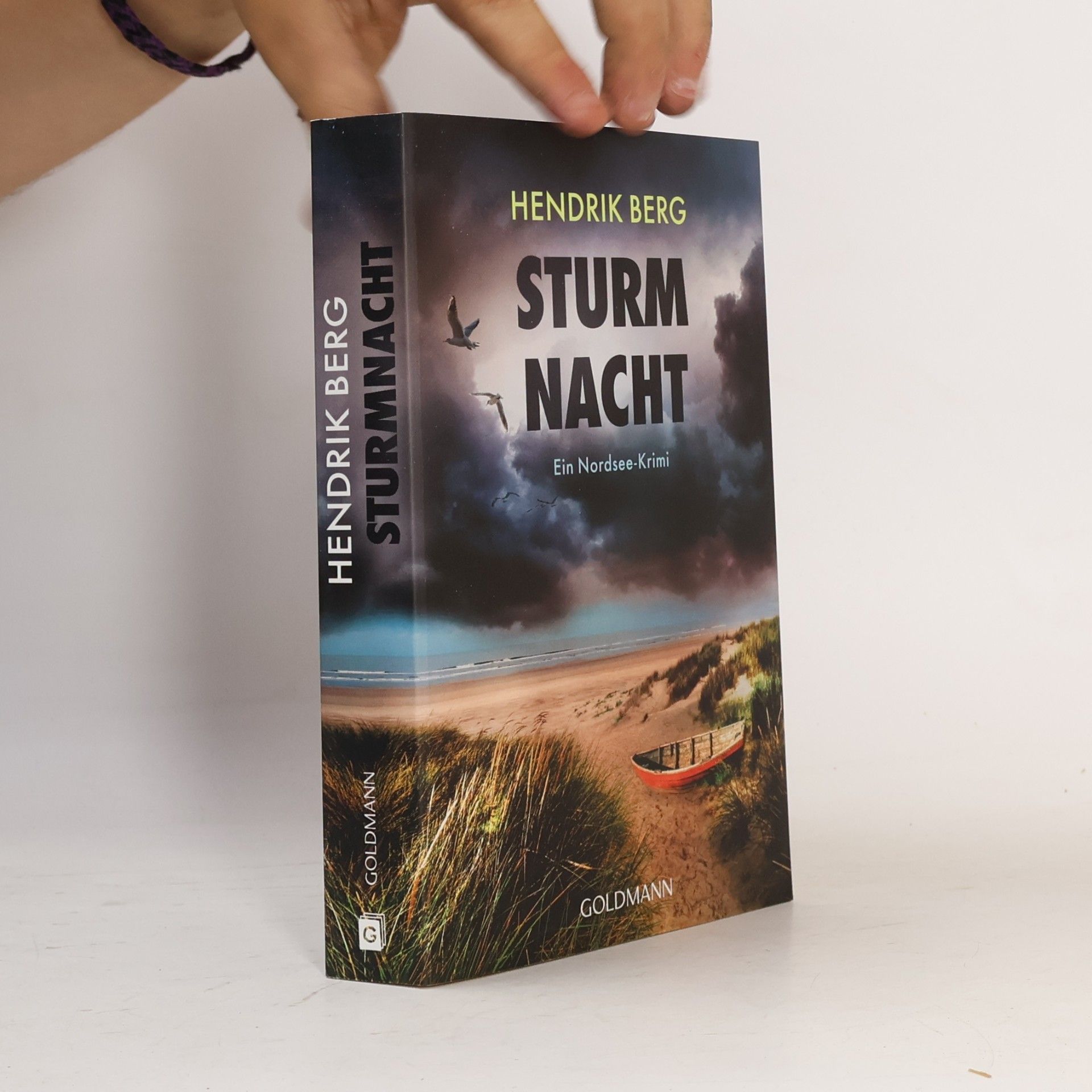 Hendrik Berg Sturmnacht