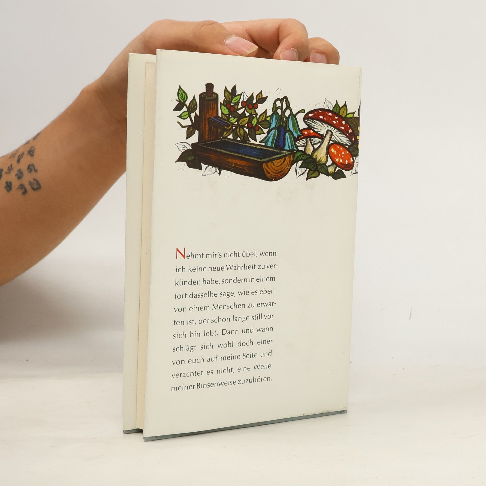 Karl Heinrich Waggerl Wagrainer geschichten Buch