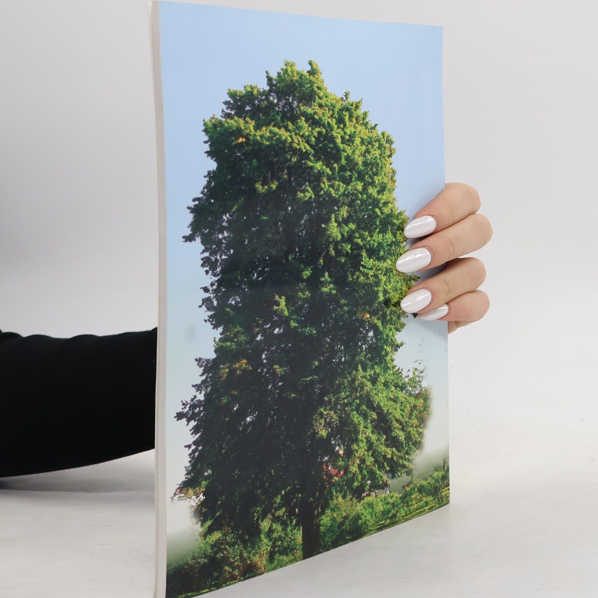 Collectif d'auteurs Pamätnica Visszatekintő 1995-2007