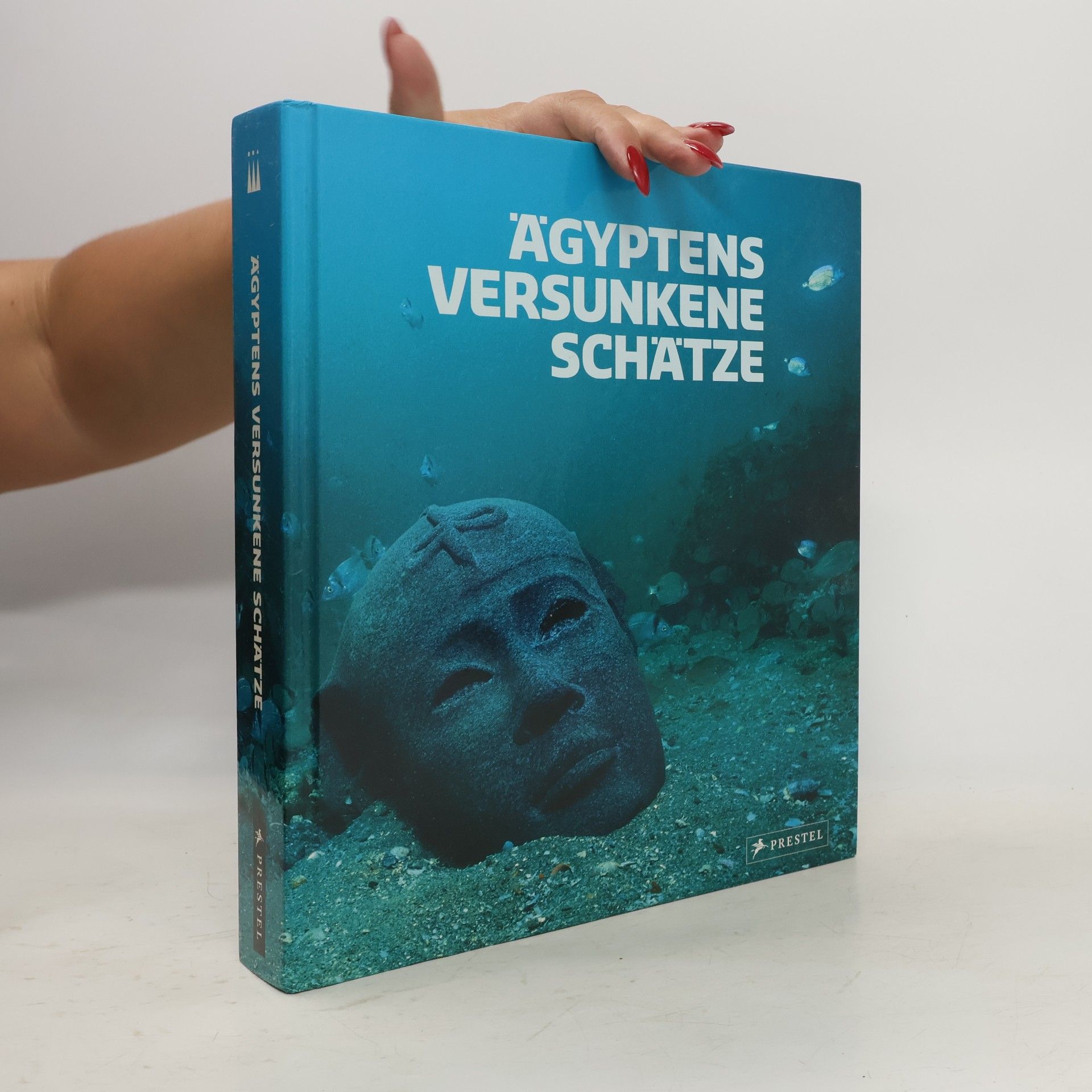 Christoph Gerigk Ägyptens versunkene Schätze