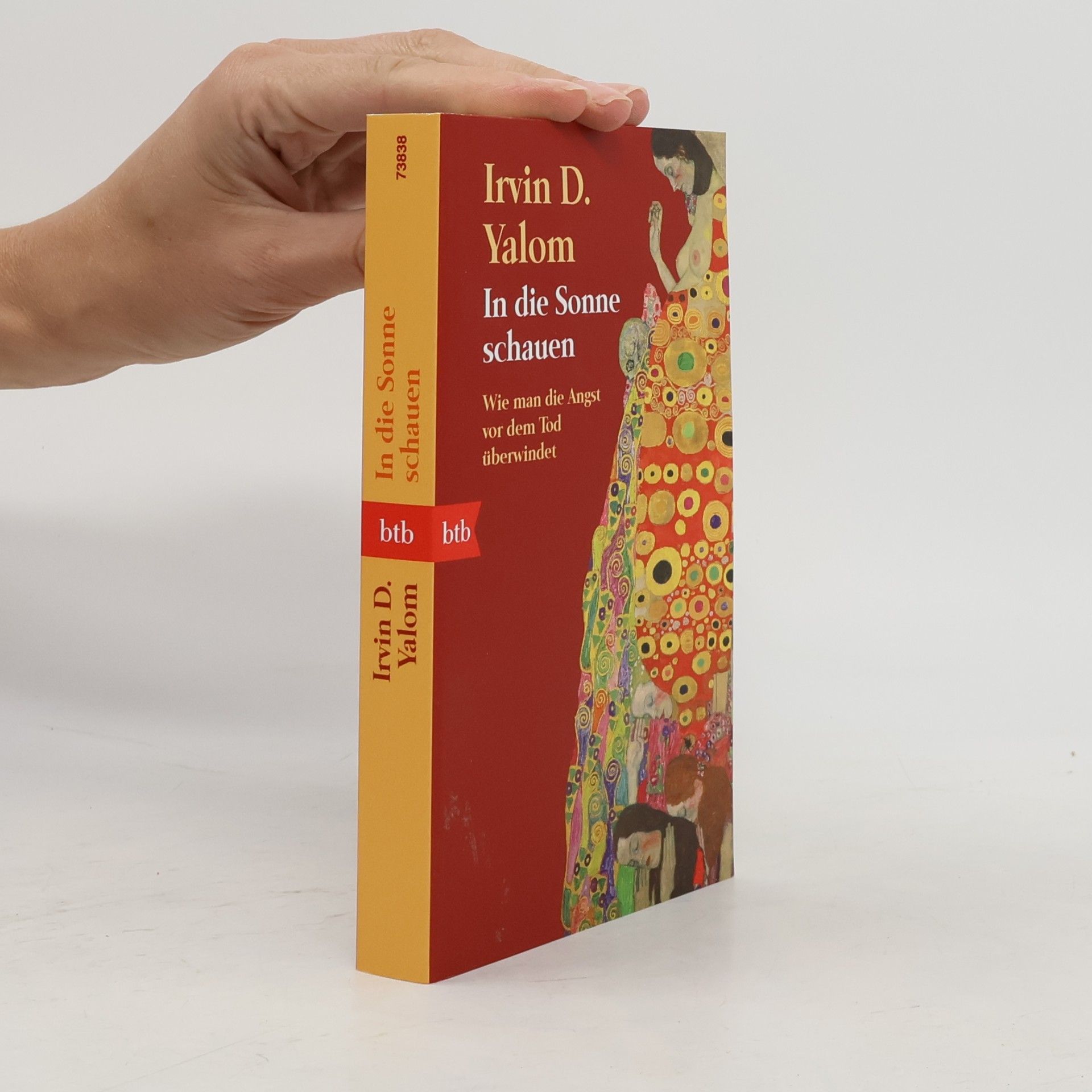 Irvin Yalom In die Sonne schauen