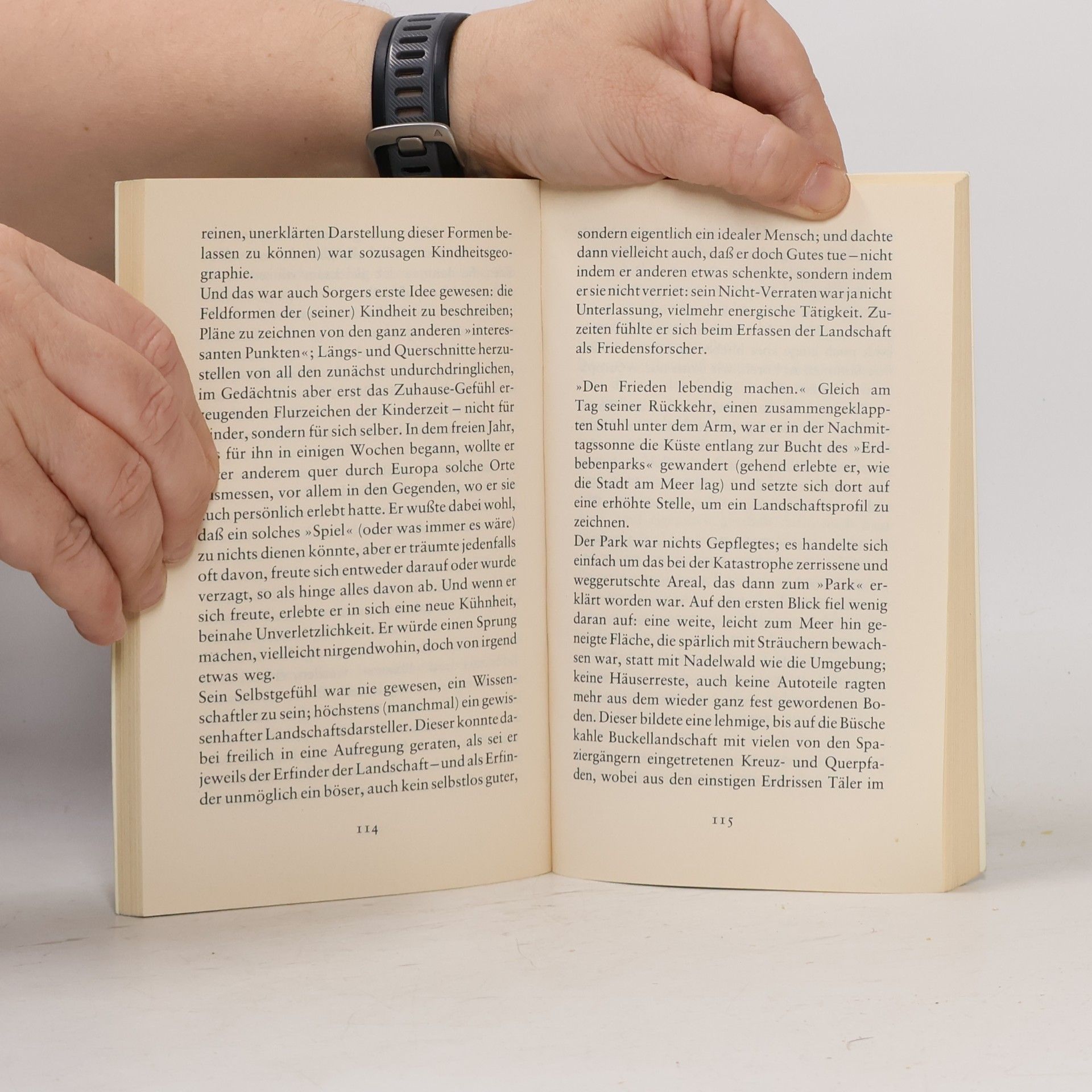 Peter Handke Langsame Heimkehr