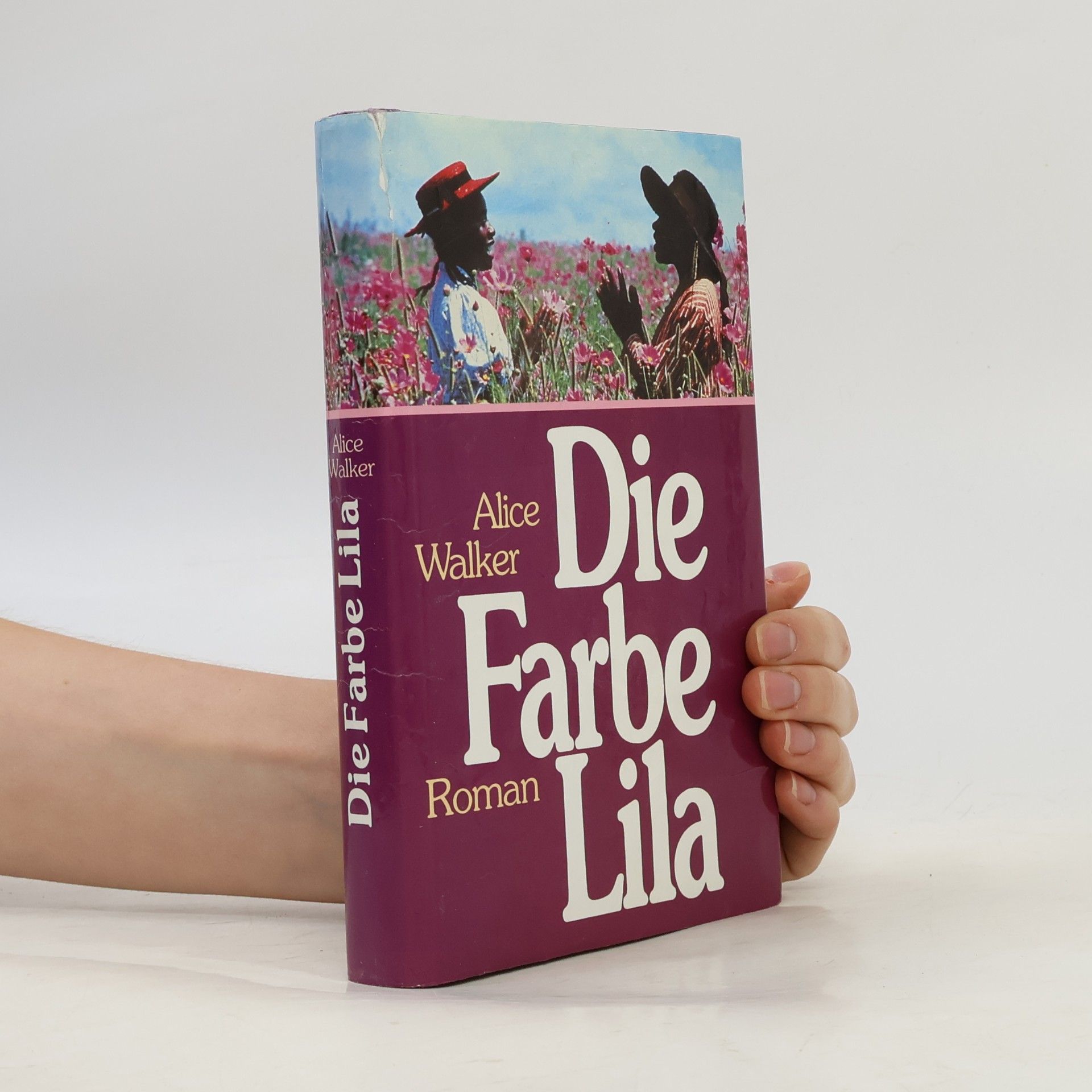 Alice Walker Die Farbe Lila