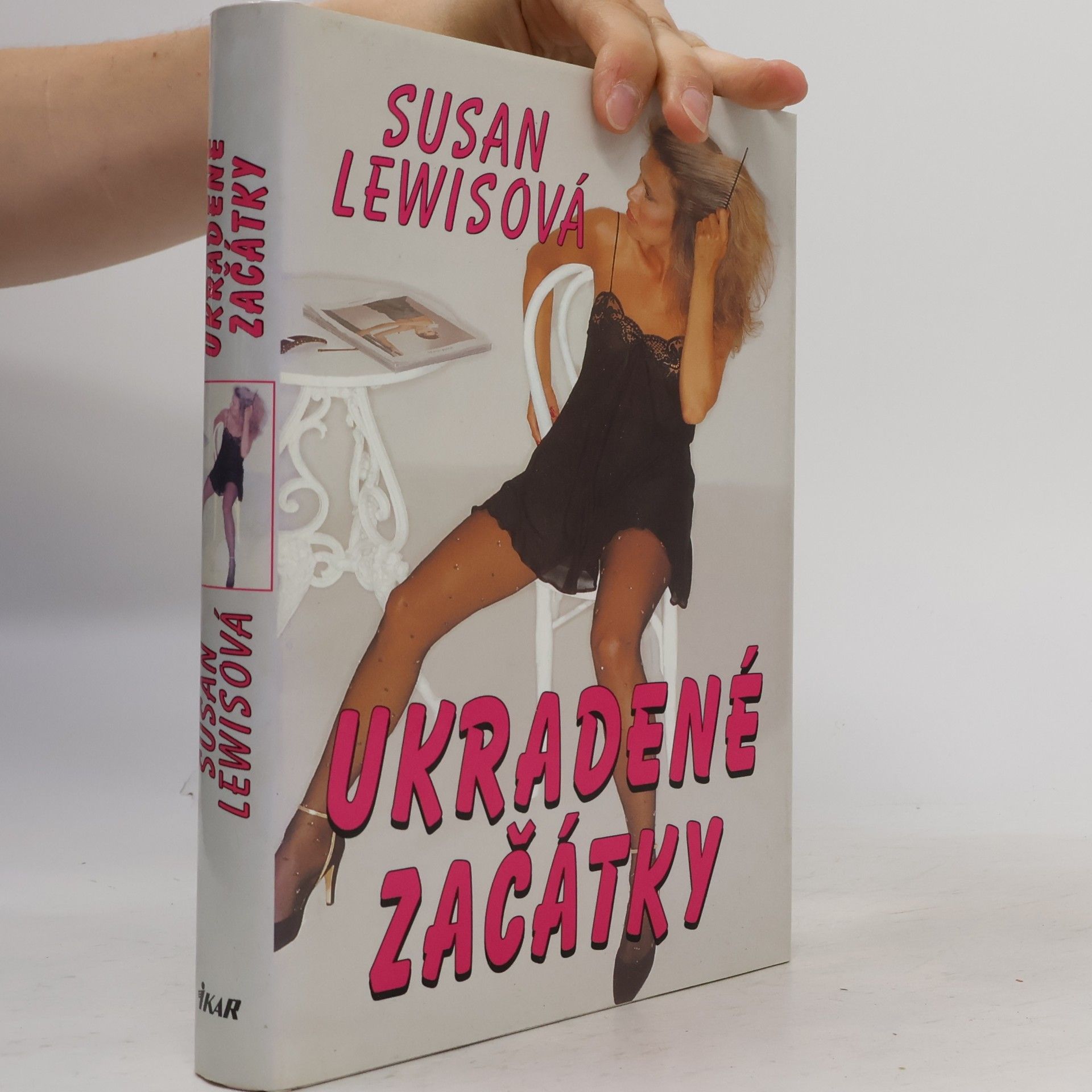 Susan Lewis Ukradené začátky