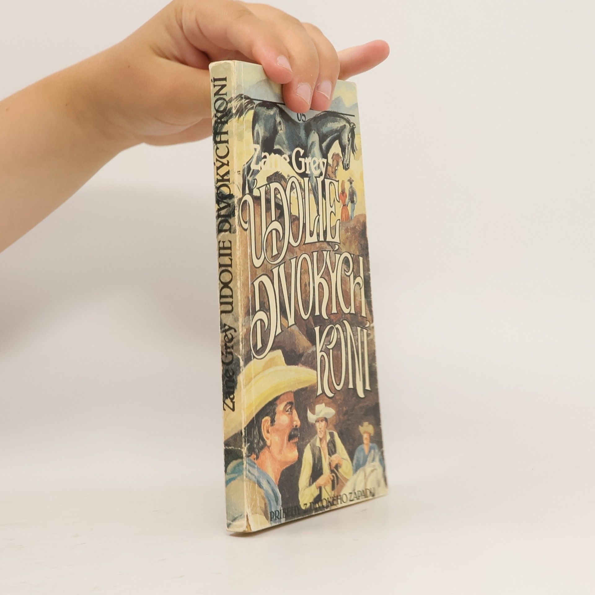 Zane Grey Údolie divokých koní