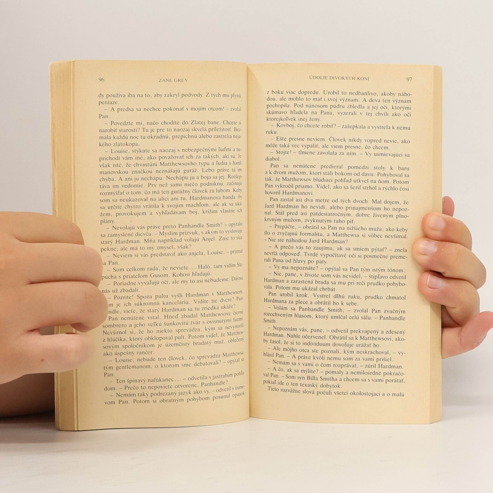 Zane Grey Údolie divokých koní