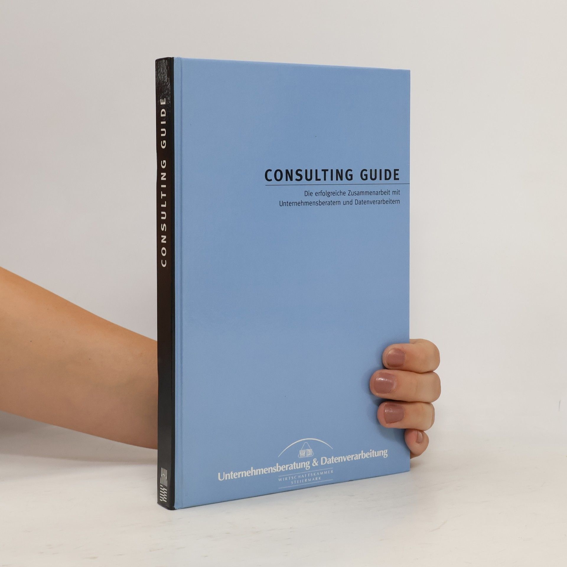 Kolektiv autorů Consulting Guide