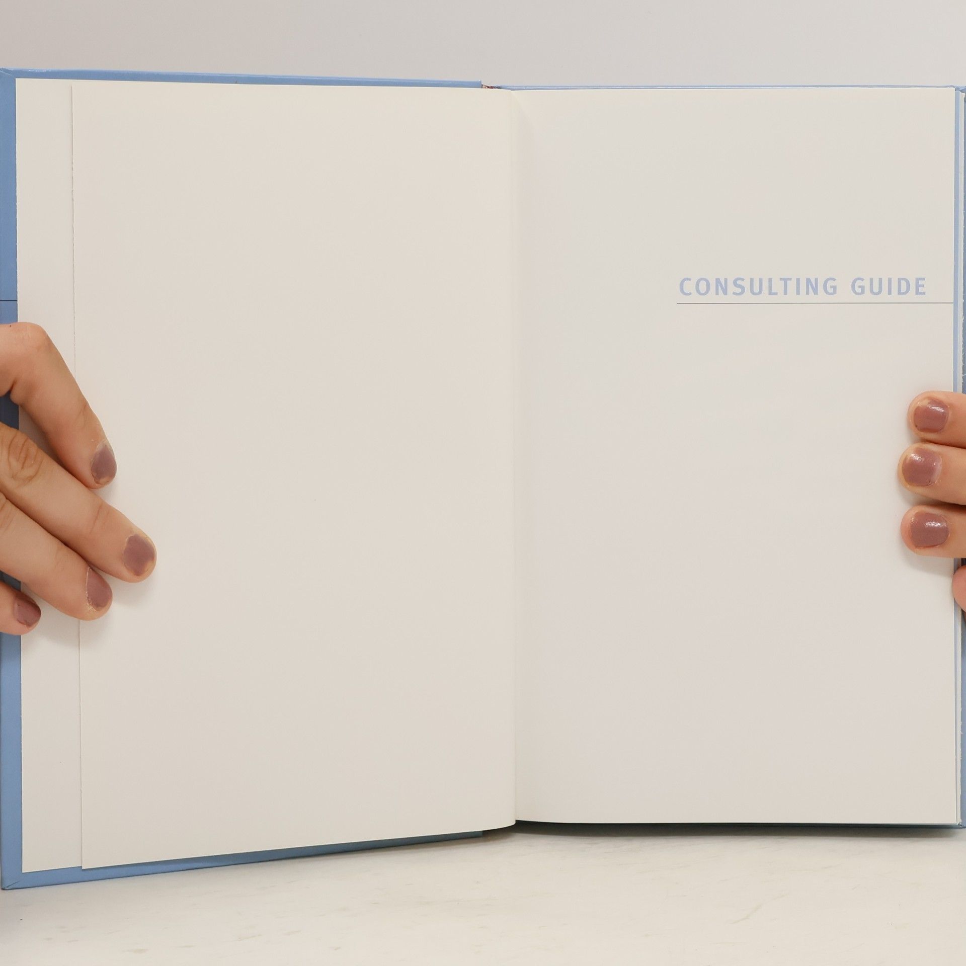 Kolektiv autorů Consulting Guide