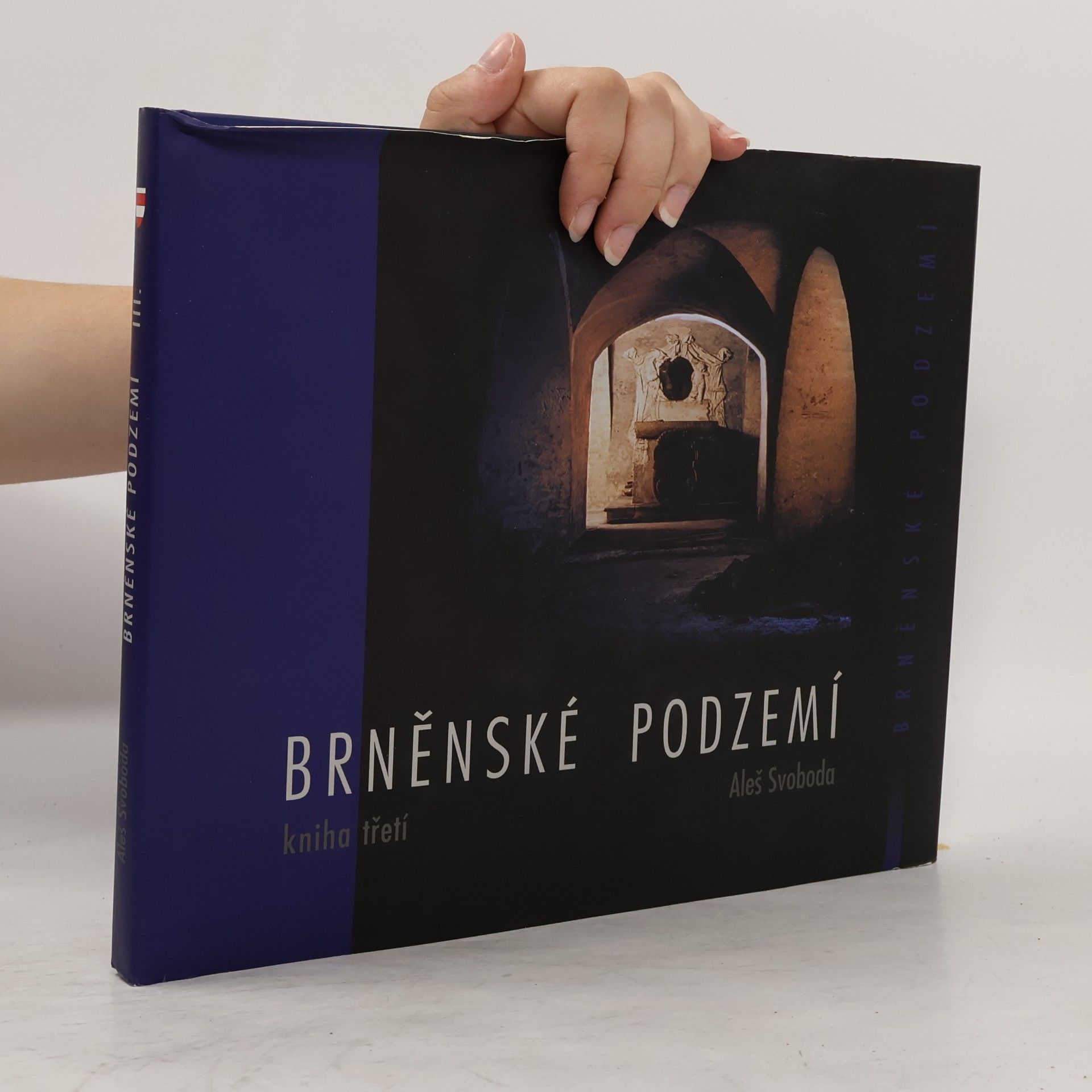 Aleš Svoboda Brněnské podzemí - Kniha třetí