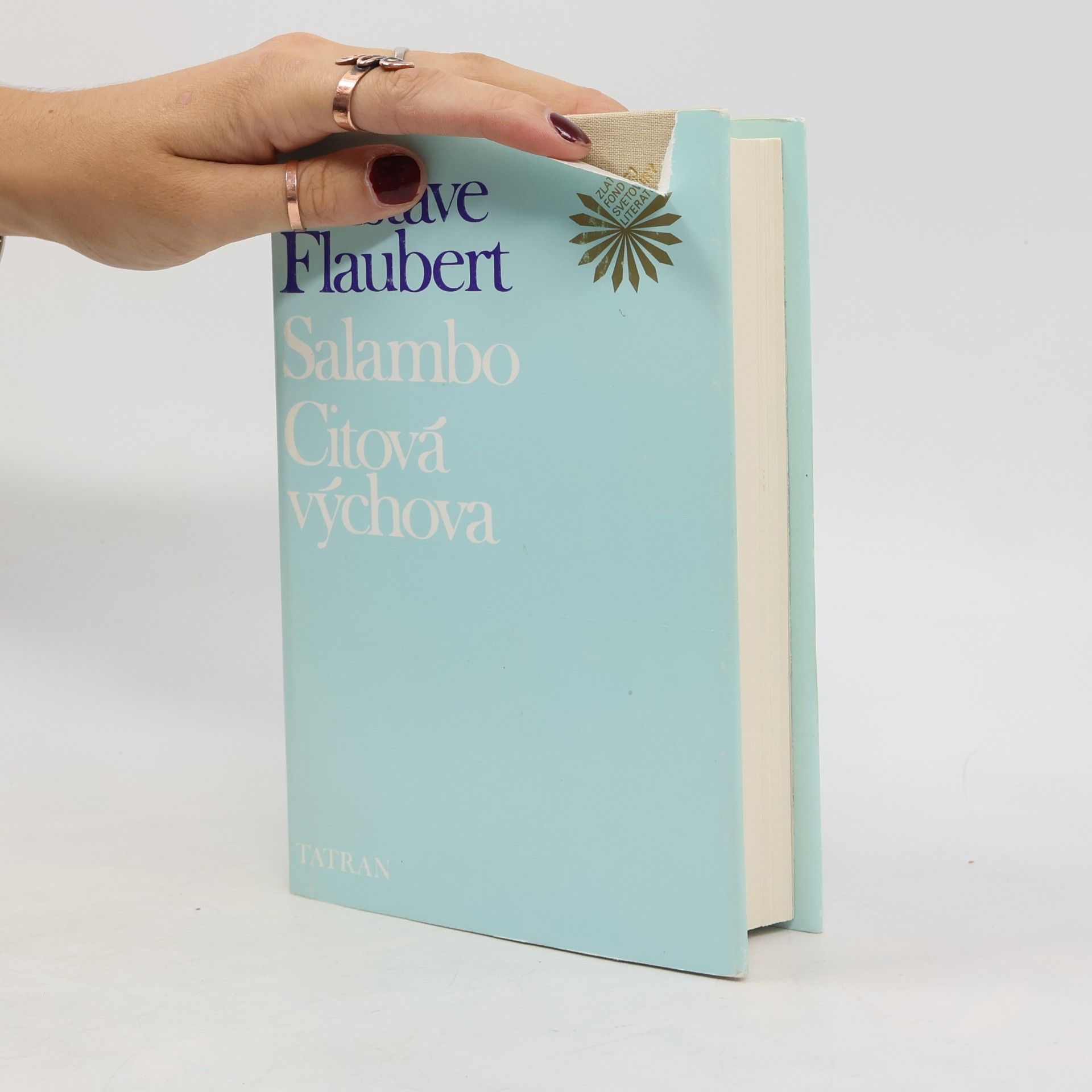 Gustave Flaubert Salambo. Citová výchova