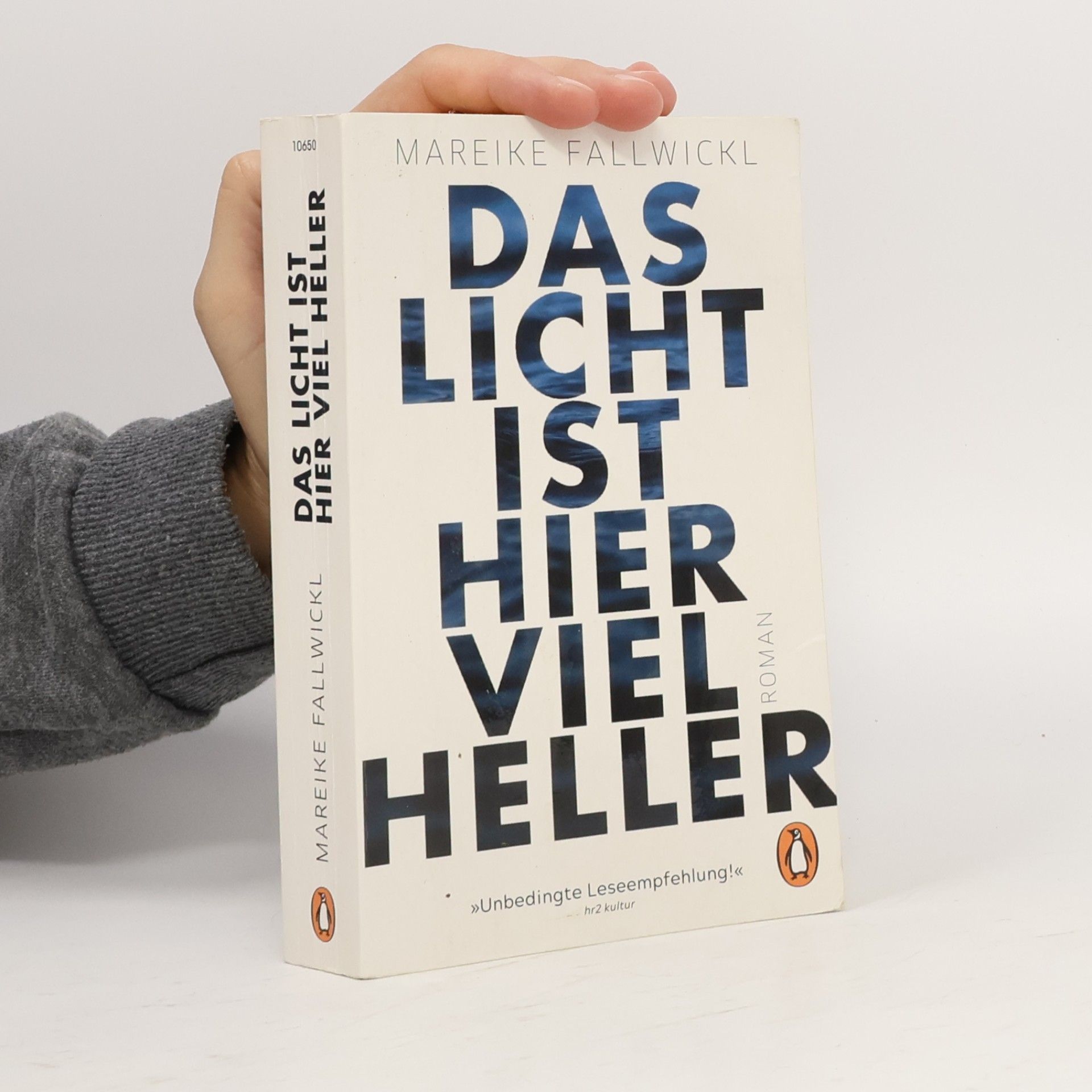Mareike Fallwickl Das licht ist hier viel heller