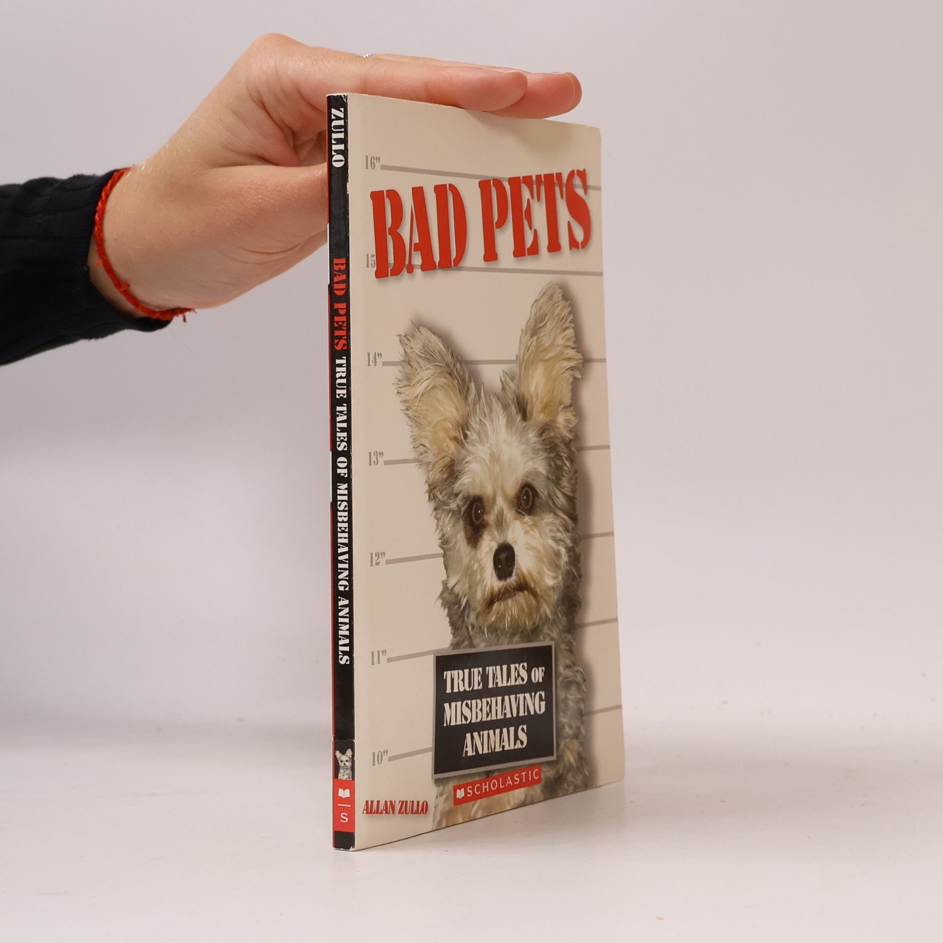 Allan Zullo Bad Pets