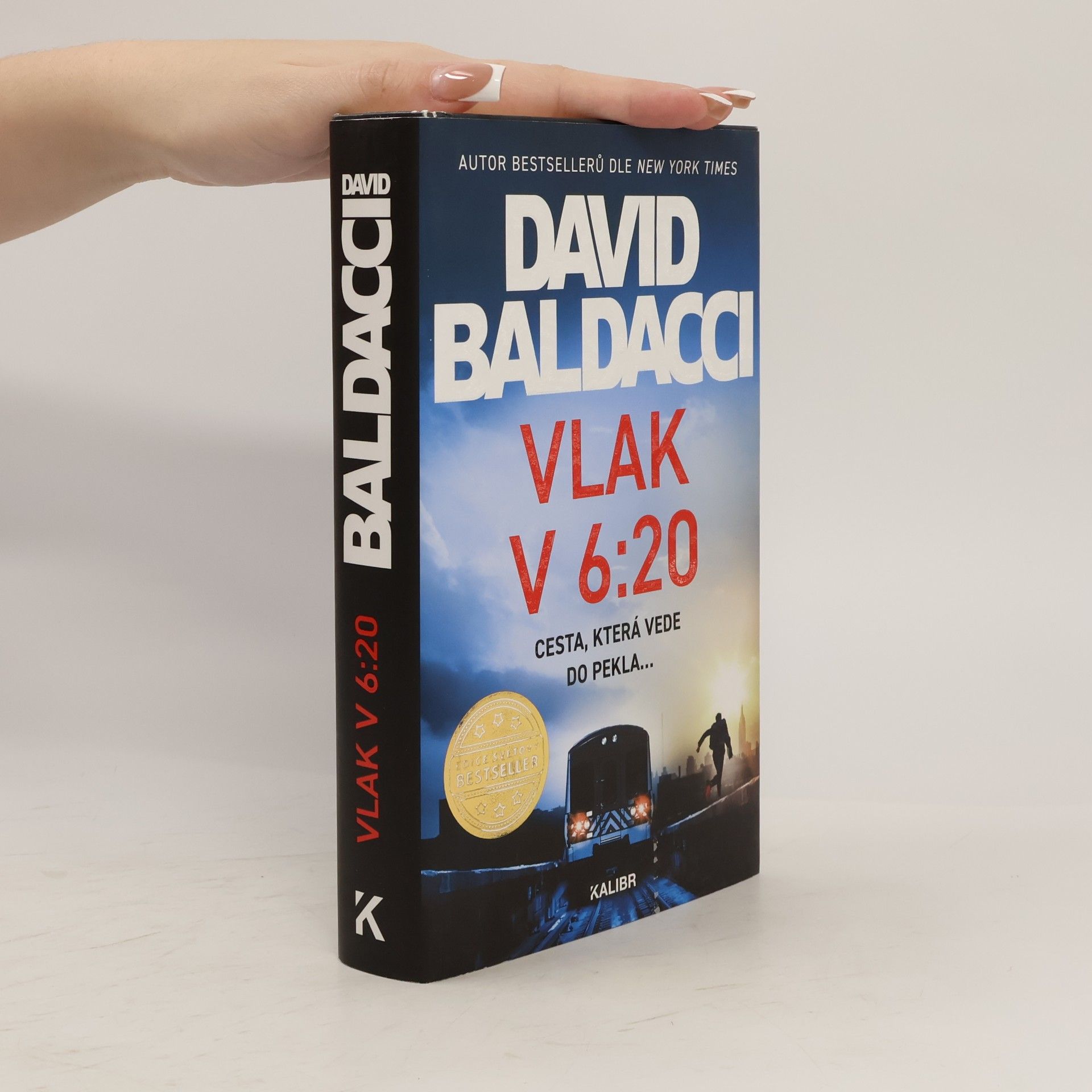 David Baldacci Vlak v 6:20