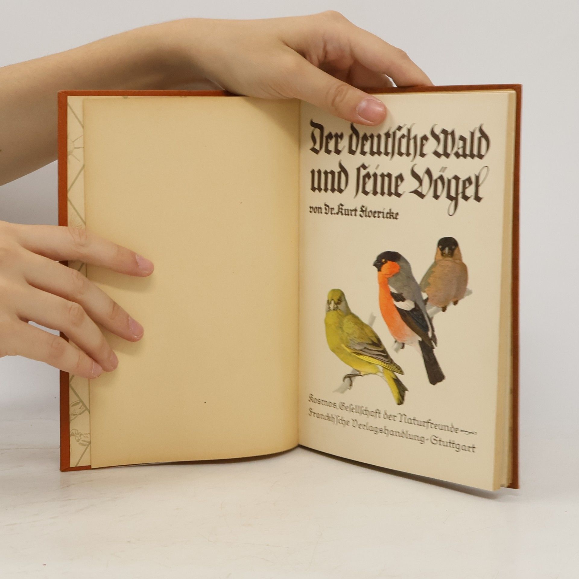Kurt Sloericke Der deutsche Wald und ſeine Vogel