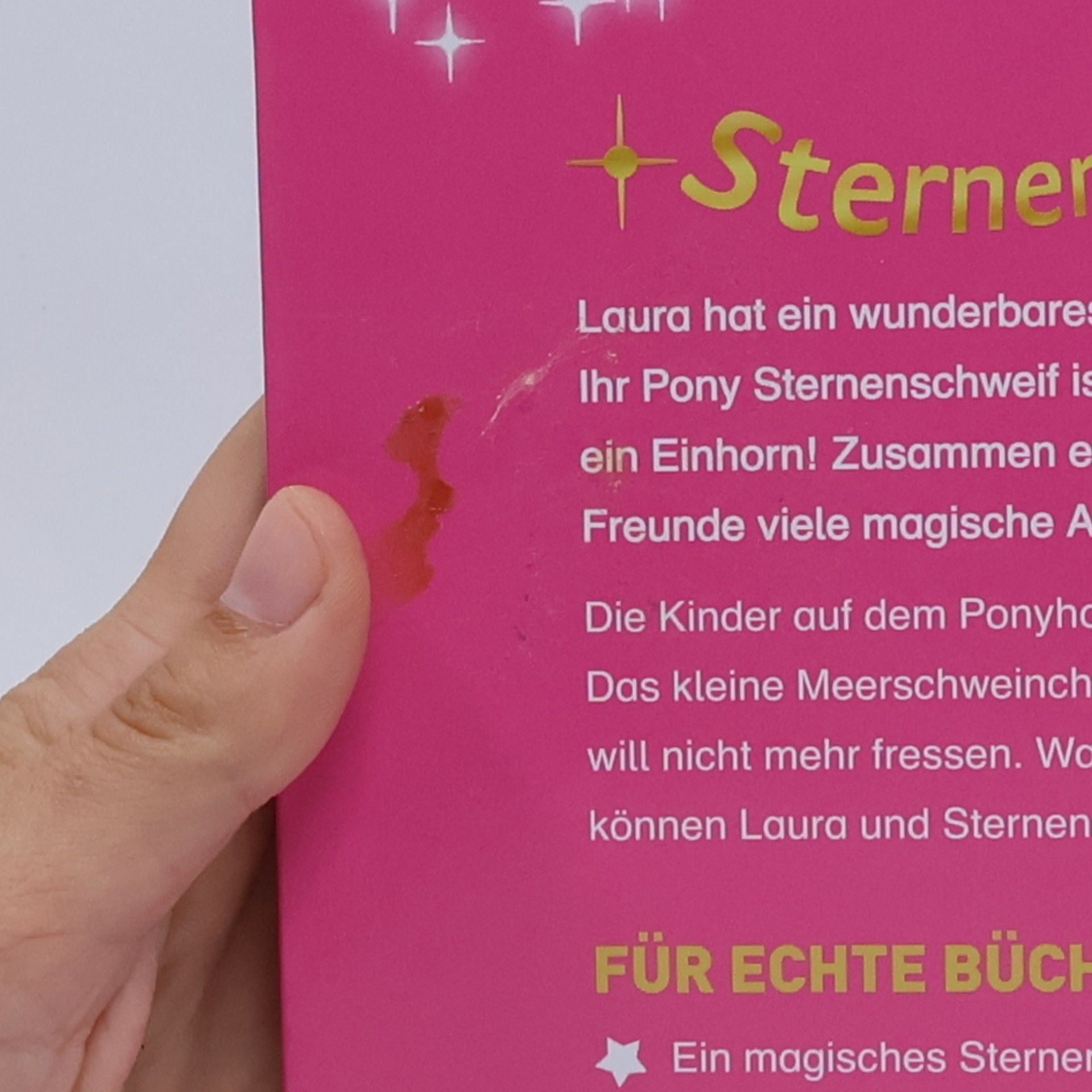 Linda Champan Sternenschweif - Rettung im Mondschein