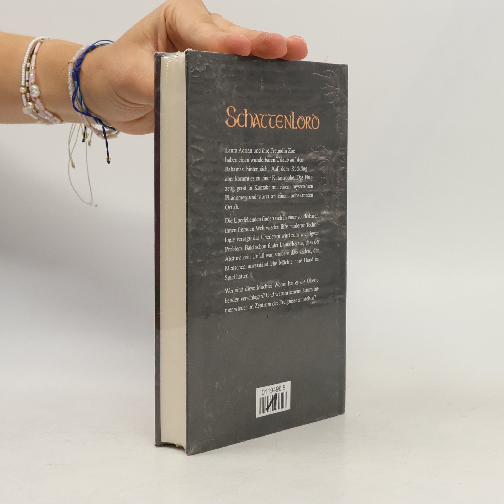 Susan Schwartz Schattenlord. Gestrandet in der Anderswelt