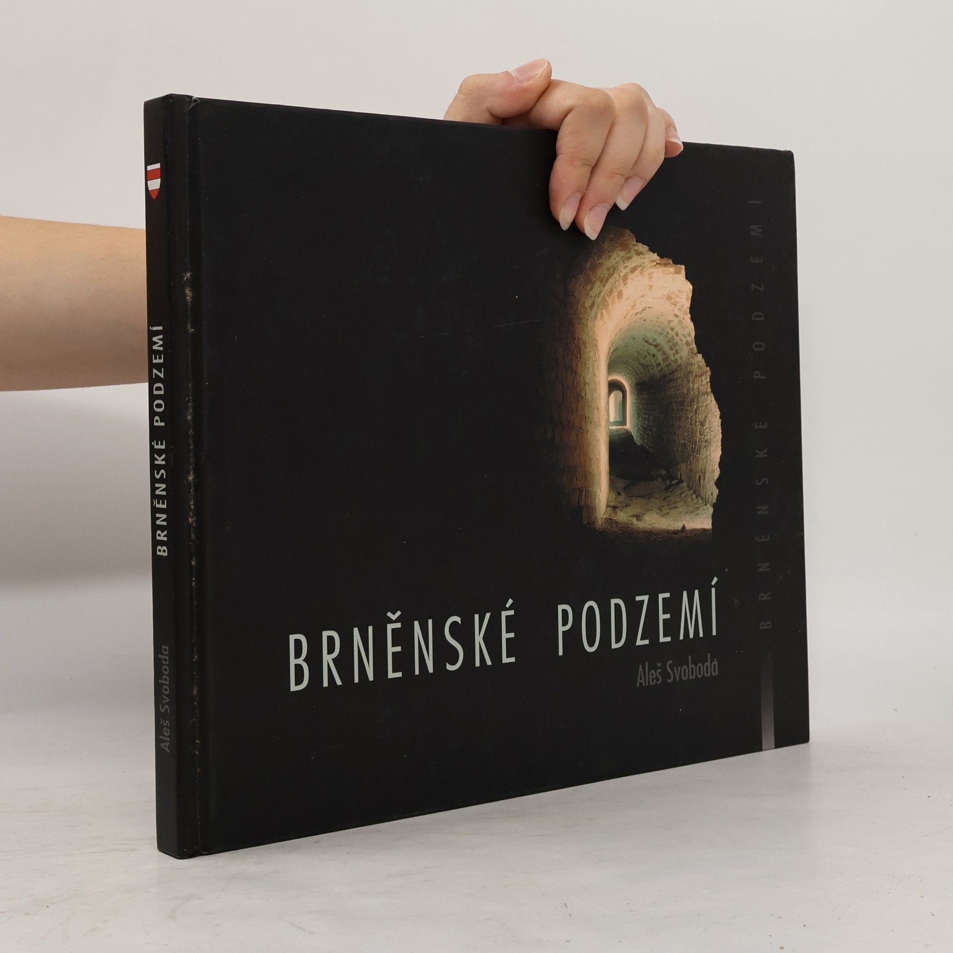 Aleš Svoboda Brněnské podzemí