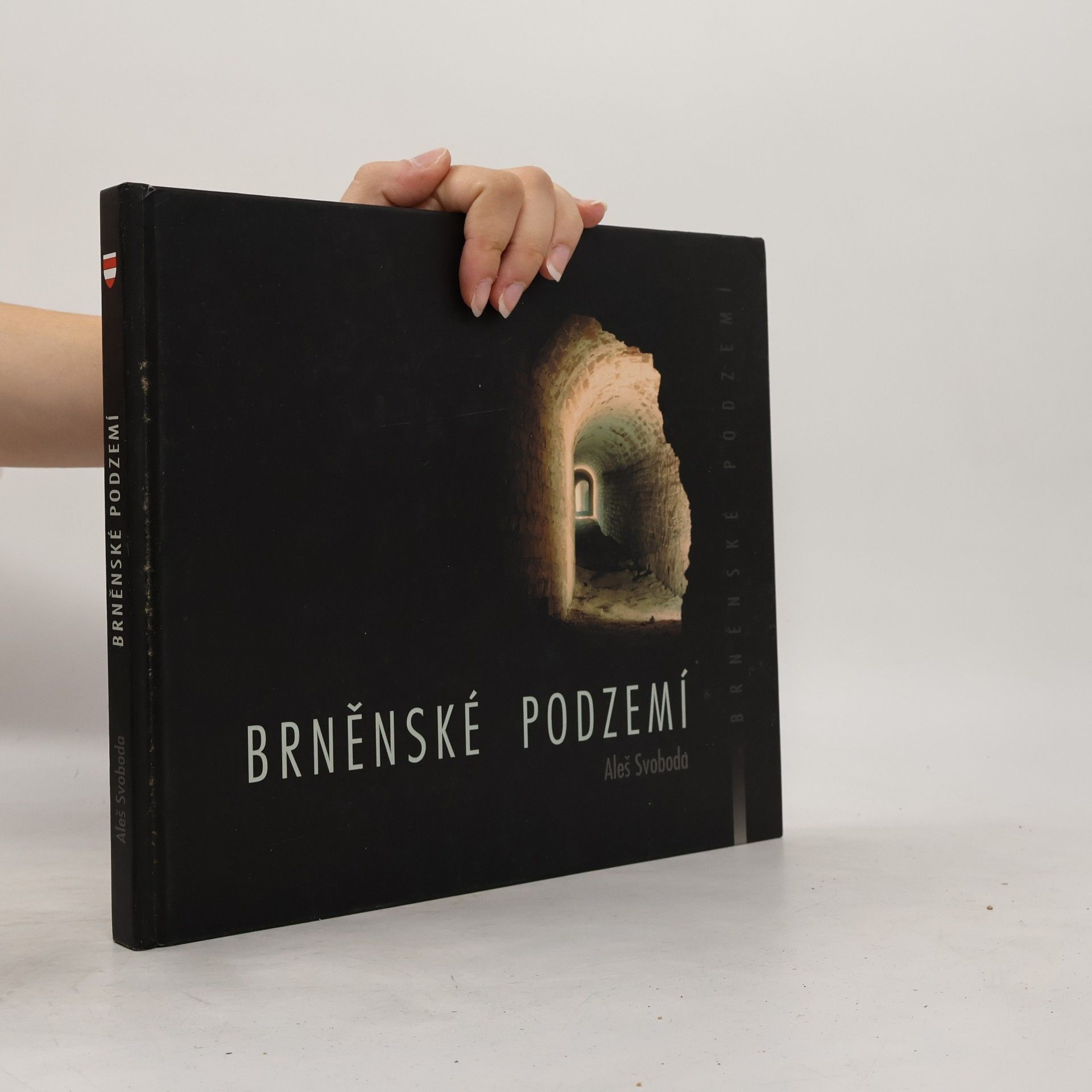 Aleš Svoboda Brněnské podzemí