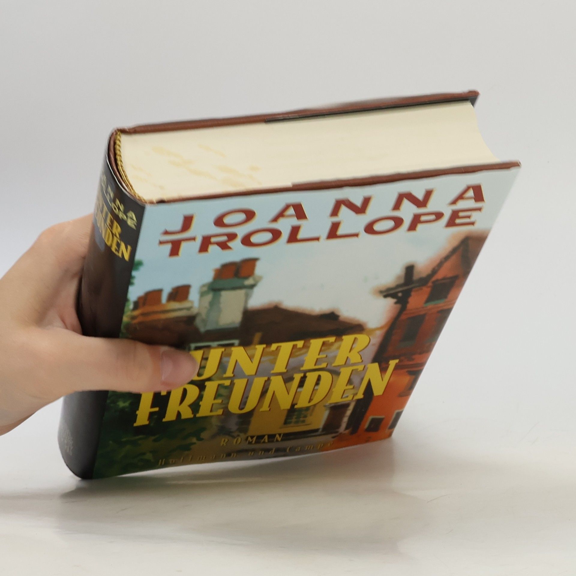 Joanna Trollope Unter Freunden
