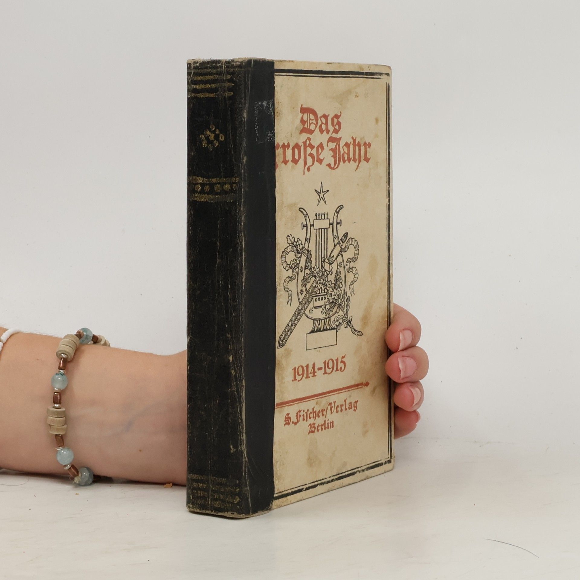 AA.VV. Das grosse Jahr, 1914-1915