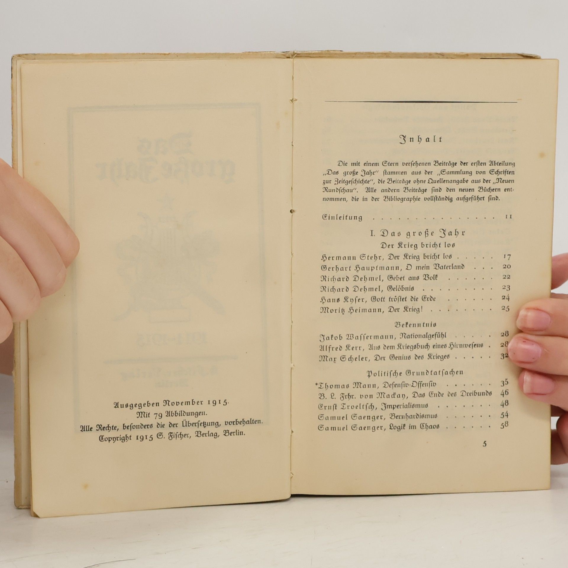 AA.VV. Das grosse Jahr, 1914-1915