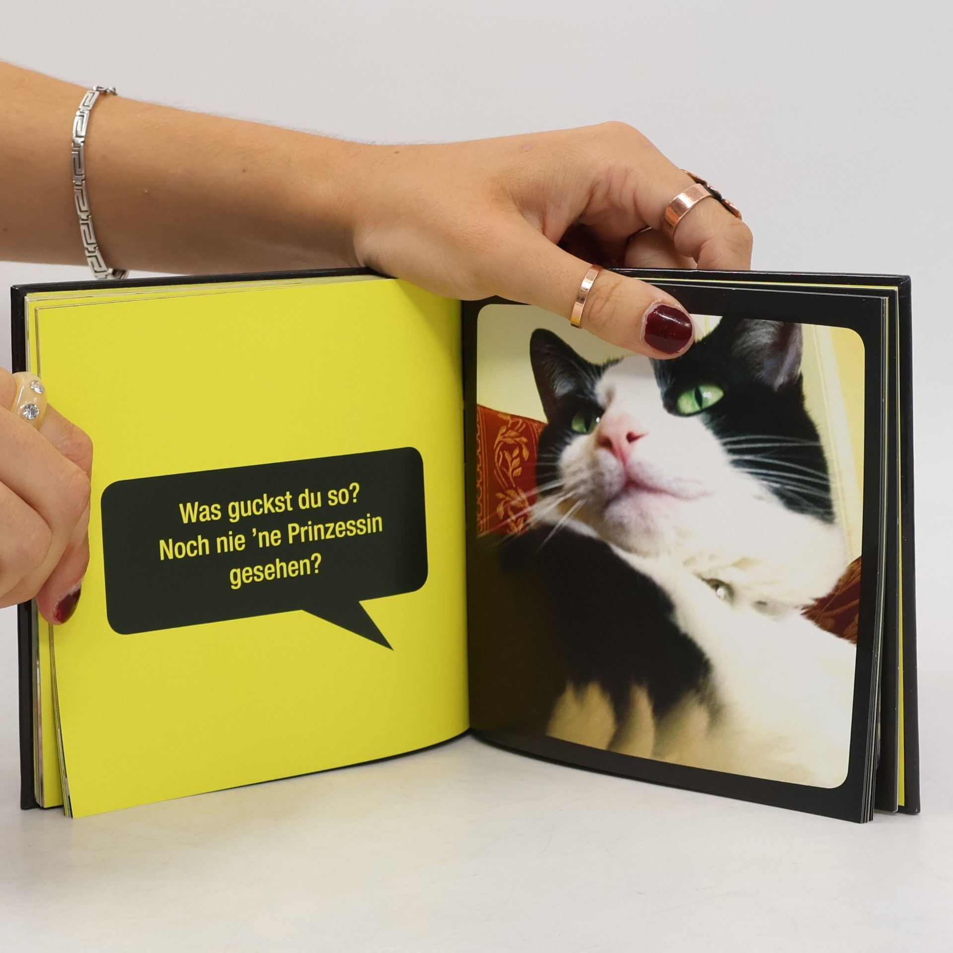 Charlie Ellis Cat Selfies